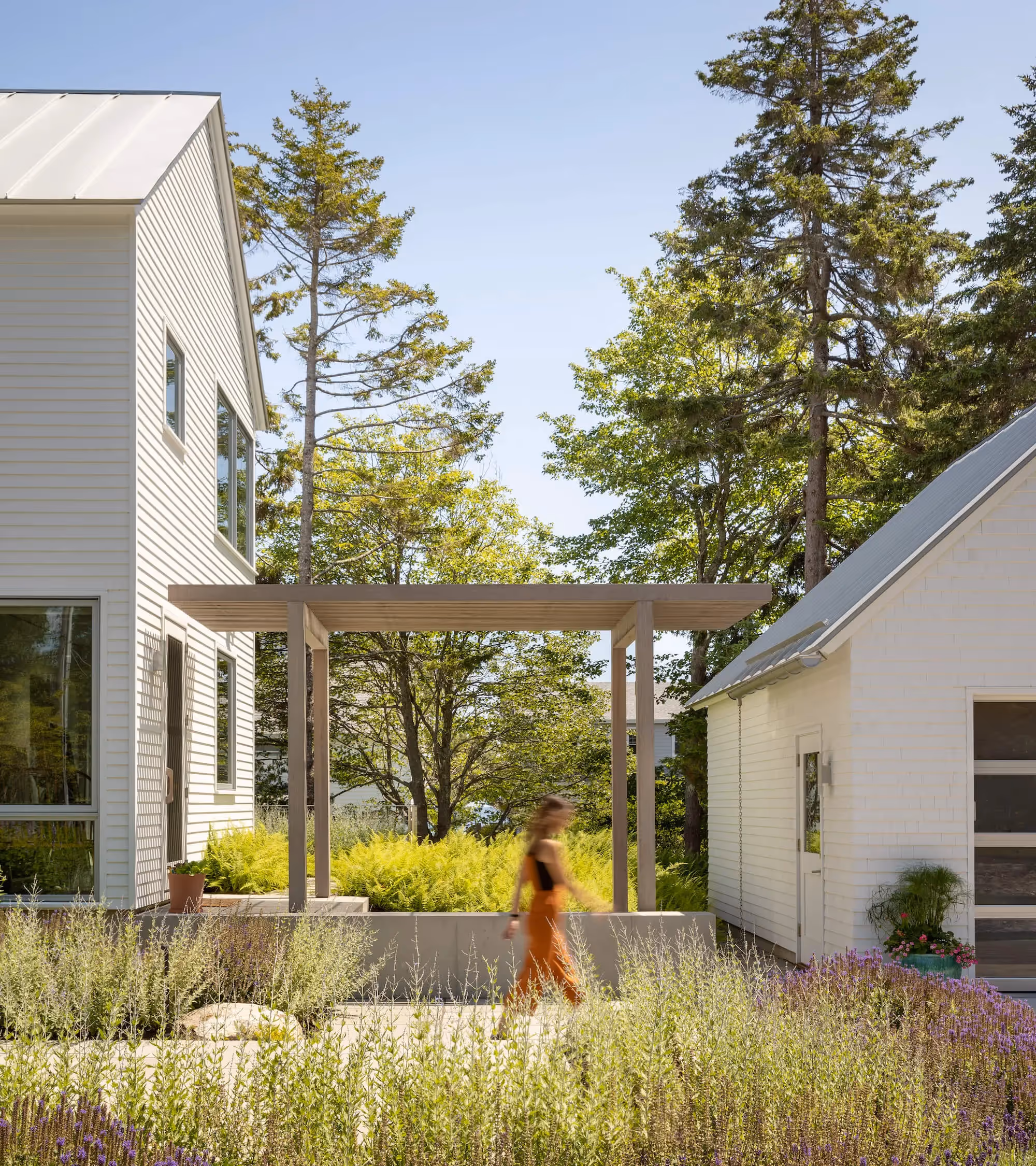 White houses connected by pergola, surrounded by lavender and tall trees