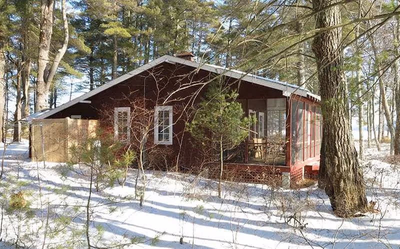 Wooden cabin nestled in snowy forest with bare trees and sunlight