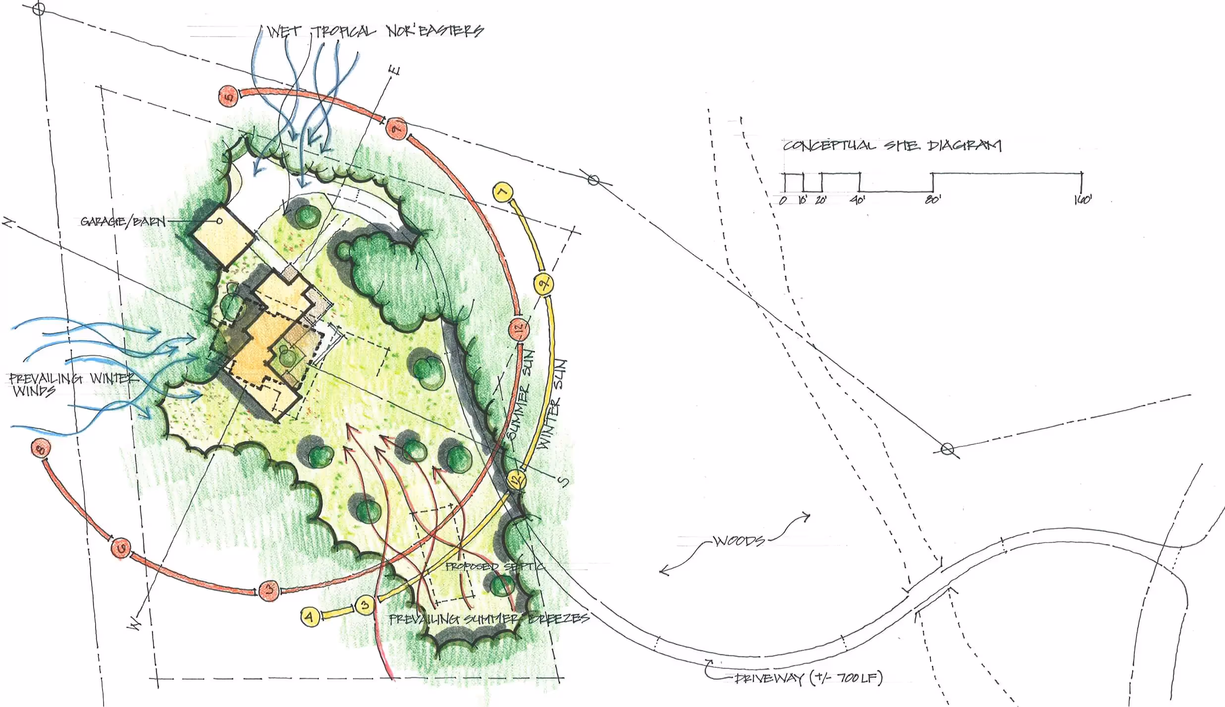 Conceptual site diagram showing building layout, trees, and wind patterns