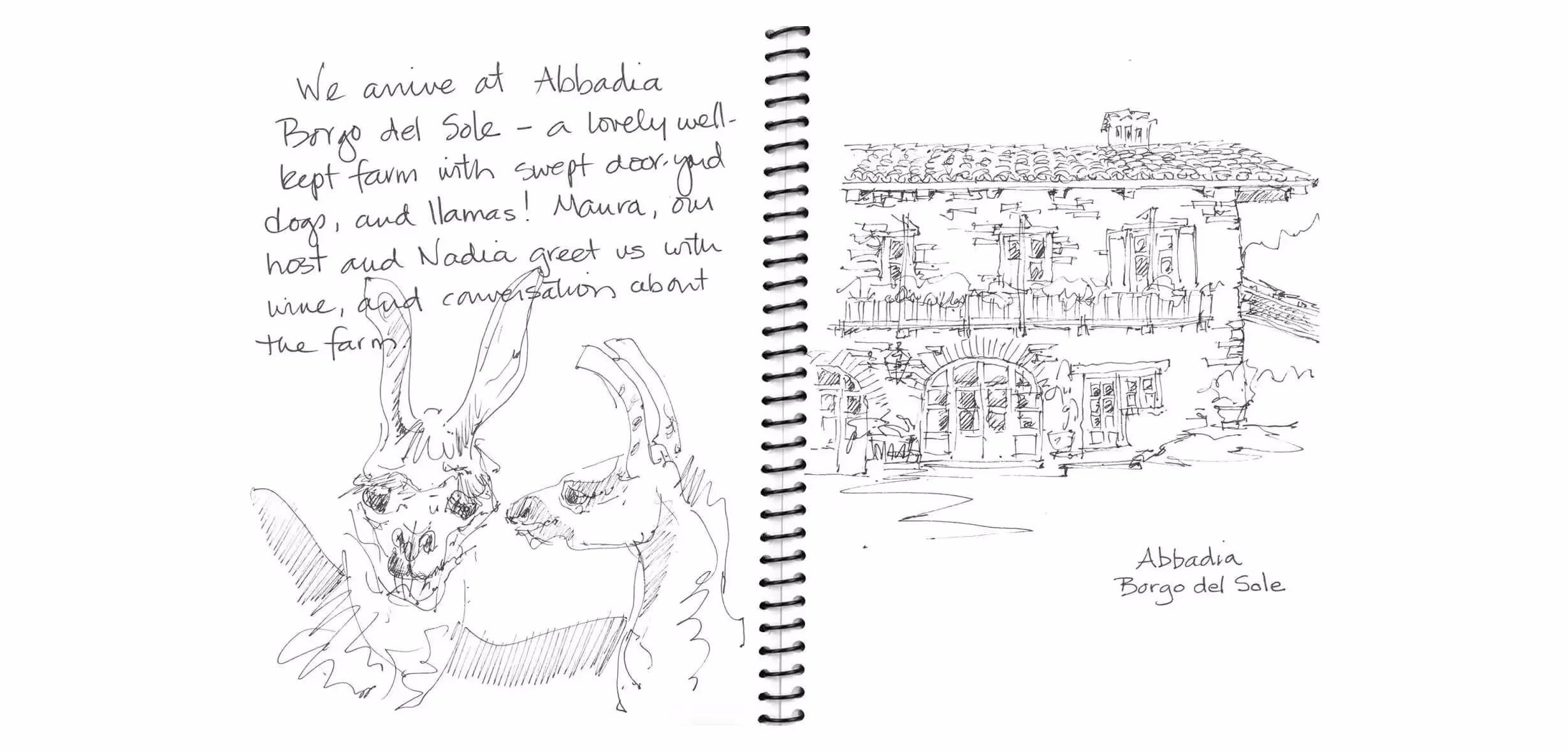 Sketch of Abbadia Borgo del Sole farm with handwritten notes and building