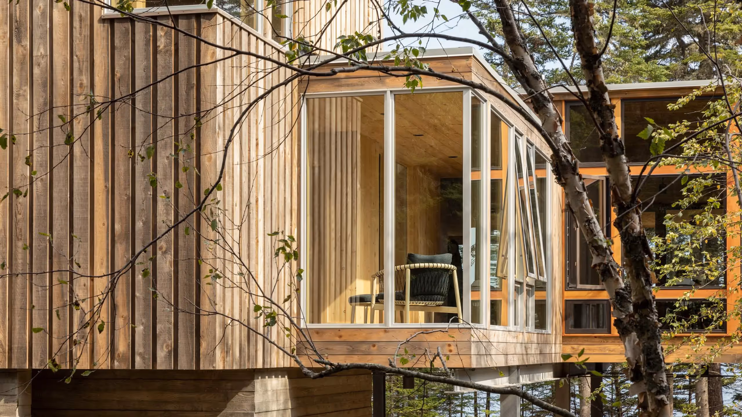 Modern wooden cabin with large windows nestled among birch trees