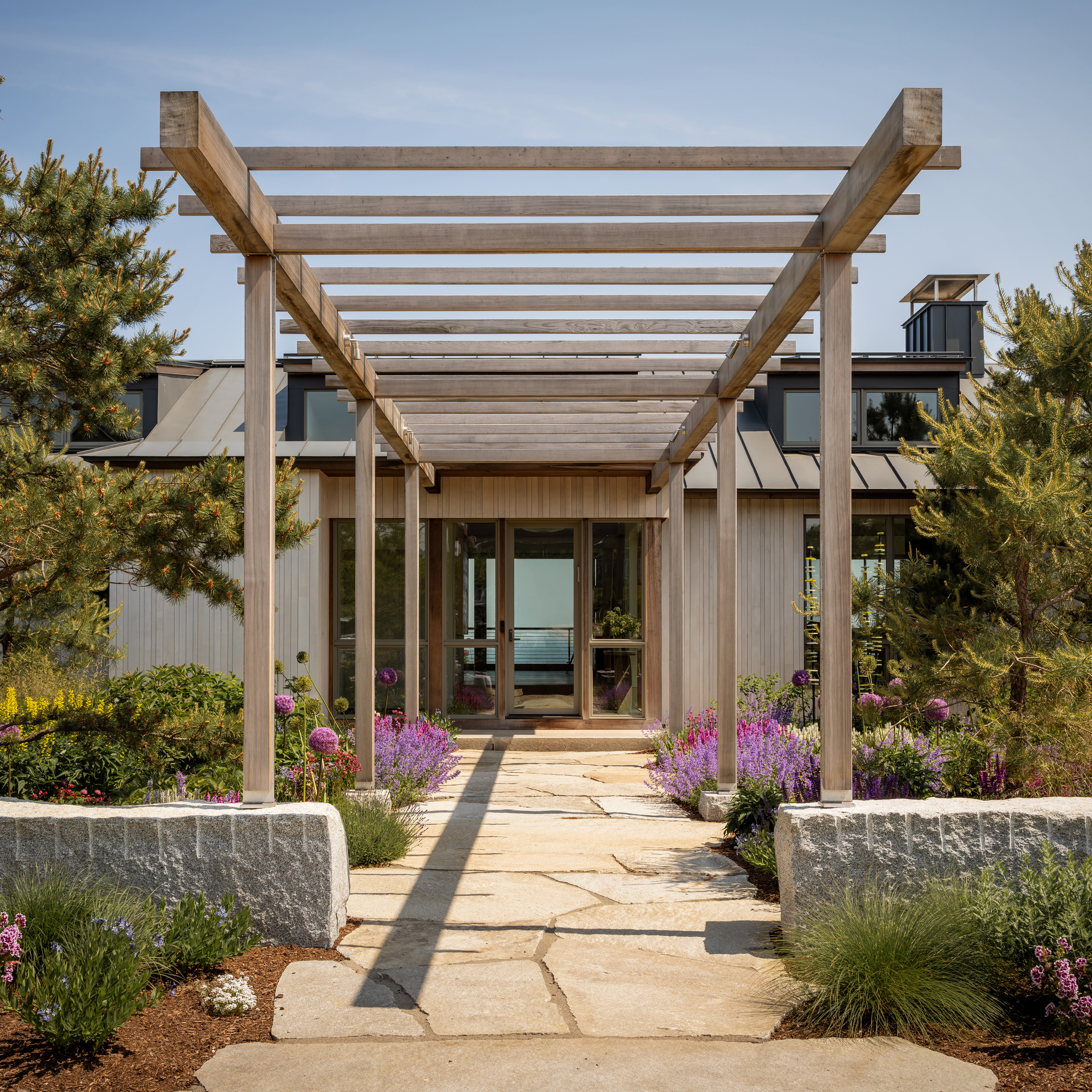 Pergola-covered entry walkway with plantings leading to contemporary home entrance designed by Whitten Architects.