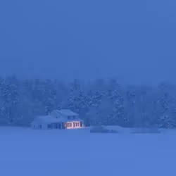 How well is Dash Landing performing?