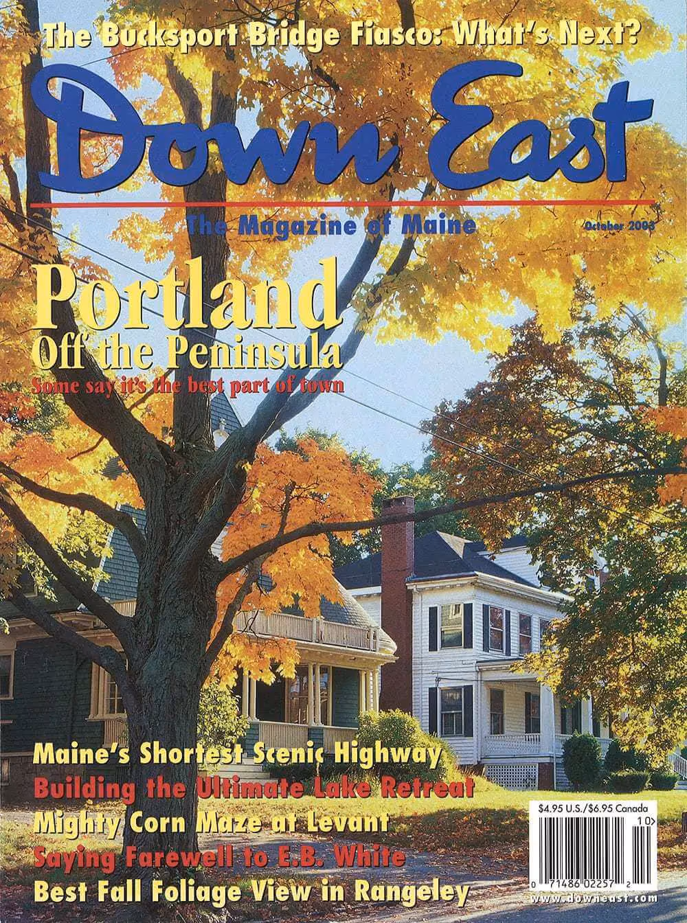 Seeing the Forest For the Trees