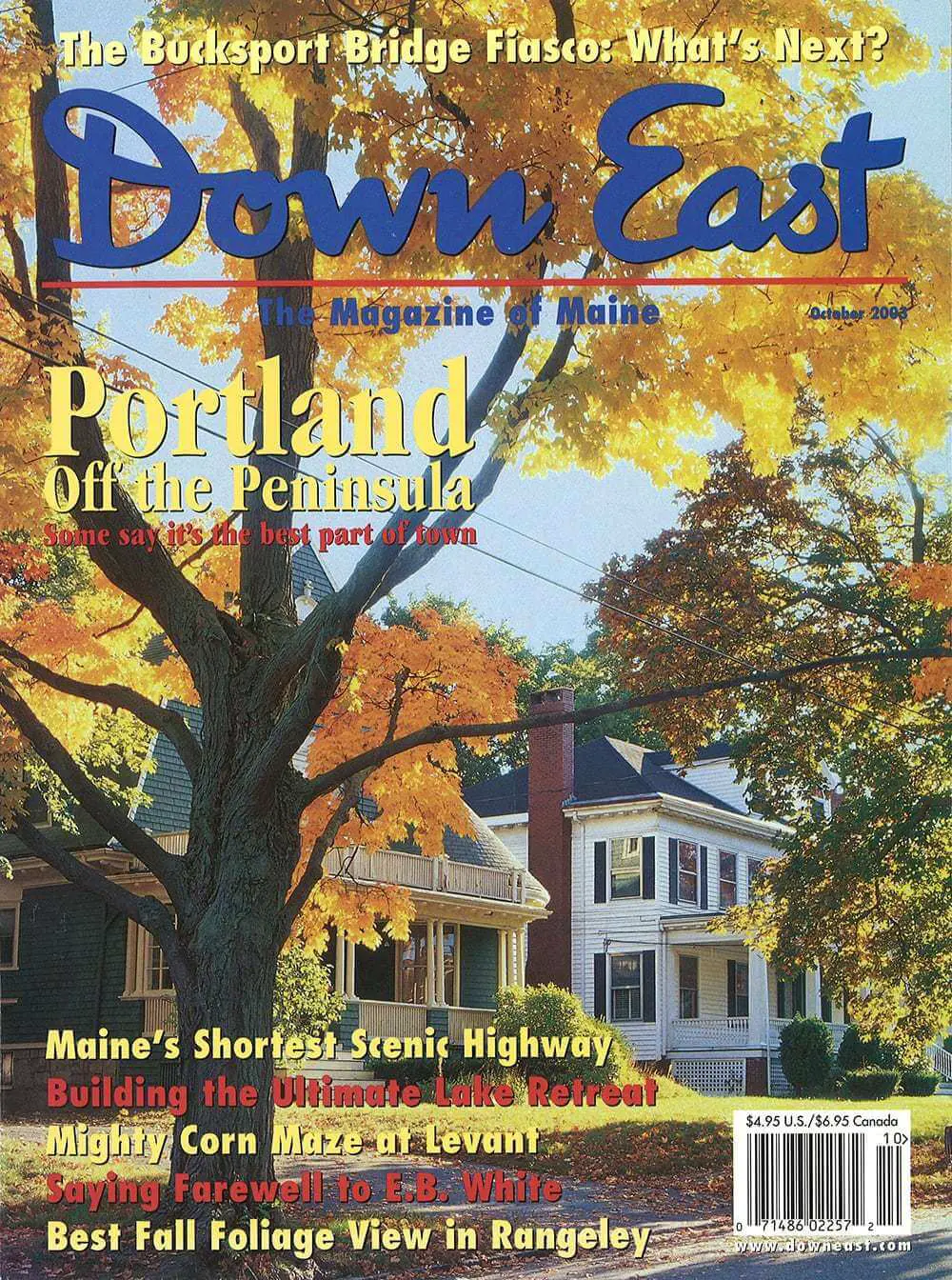 Seeing the Forest For the Trees