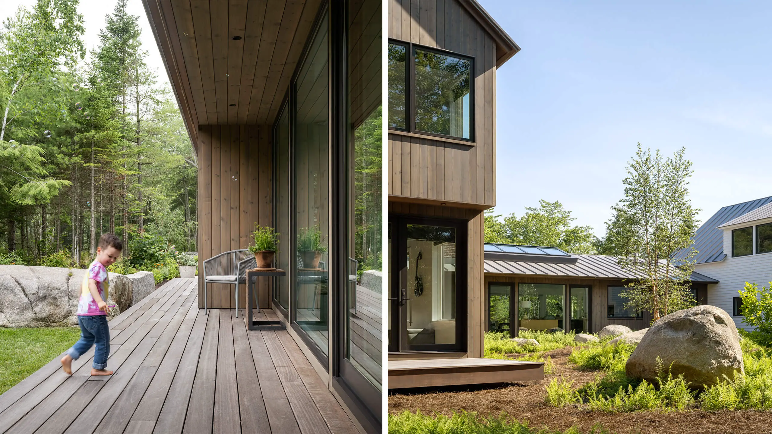 Modern wooden house with large windows nestled in forest landscape