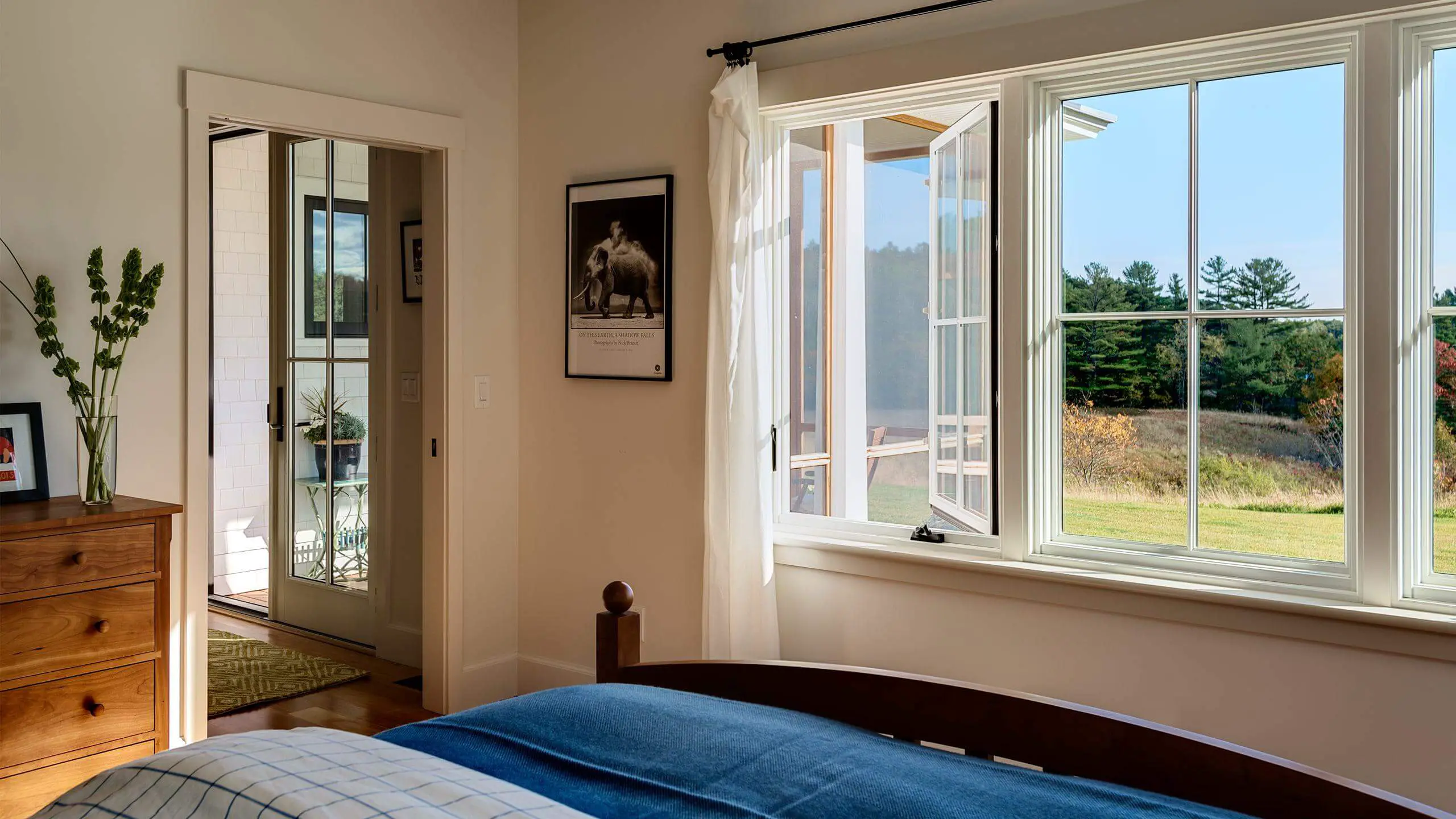 Bright bedroom with blue bedding, open windows overlooking pine forest