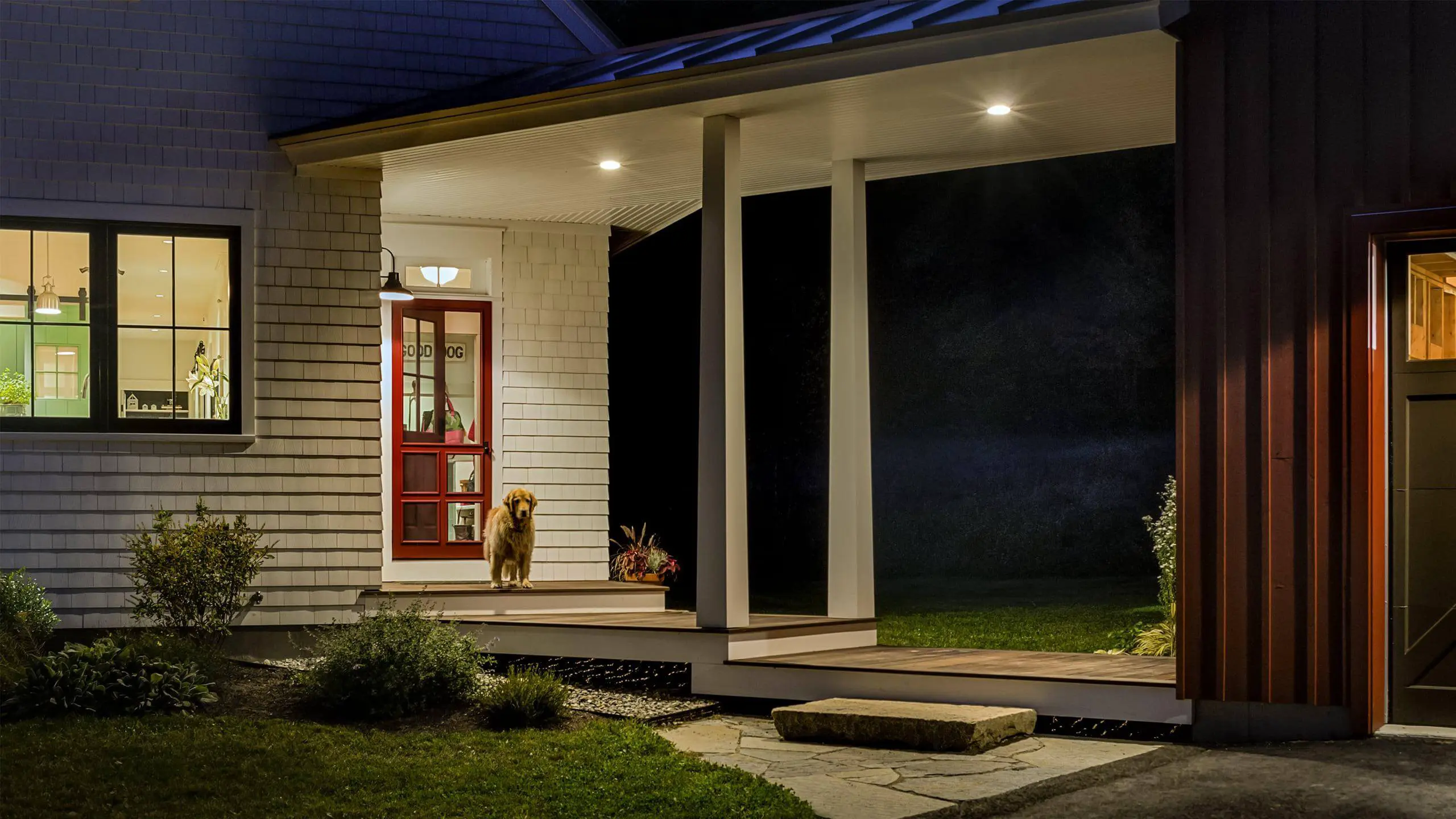 Golden retriever sitting on porch of modern house at night