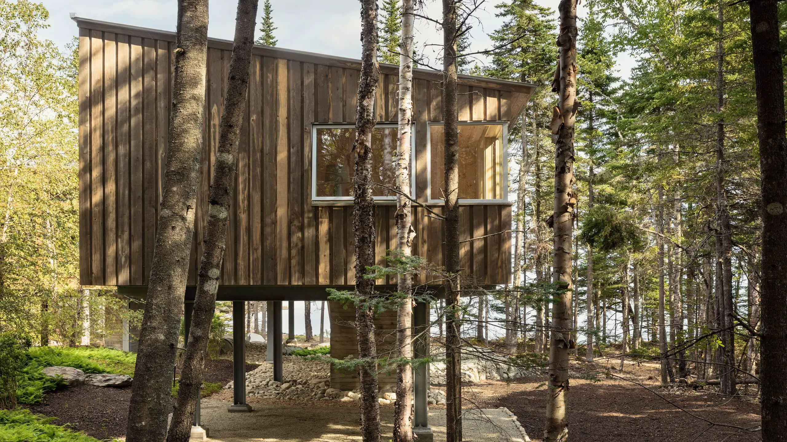 Wooden cabin on stilts nestled among birch trees in forest