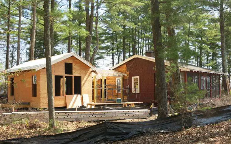 Wooden cabins nestled among pine trees in a serene forest setting
