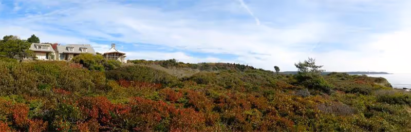 Coastal landscape with houses on hill, lush vegetation and blue sky