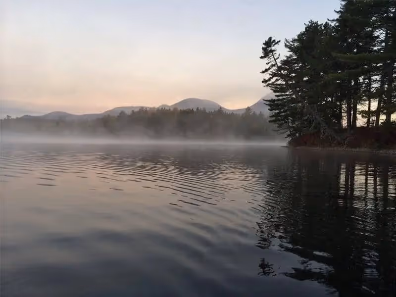 Misty morning on a calm lake with pine trees and mountains in background