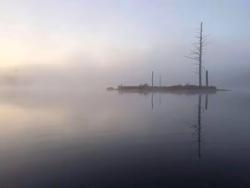 Misty lake with small foggy island and bare trees reflecting in water