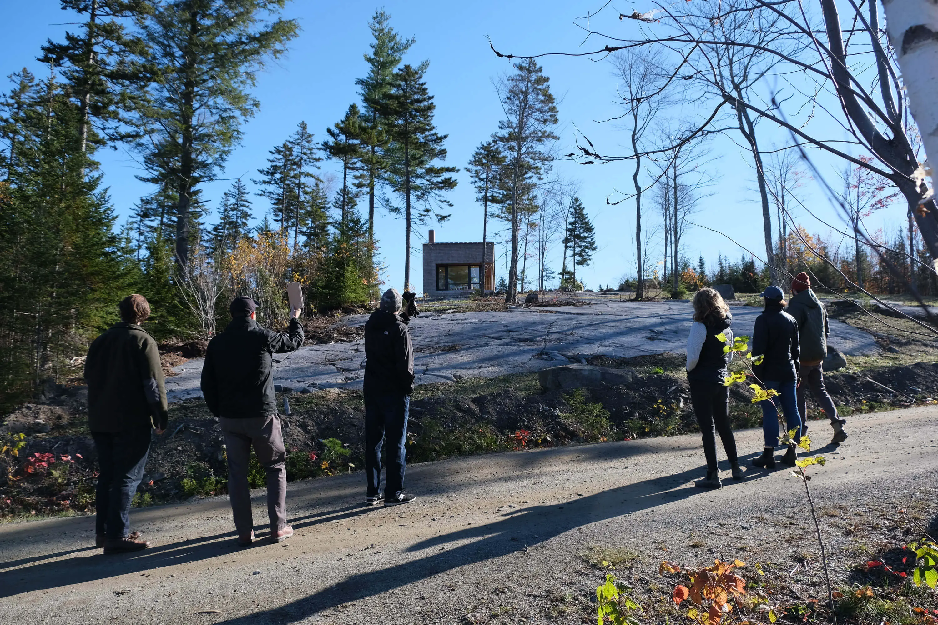 Several people walking on a forest road, small cabin in background
