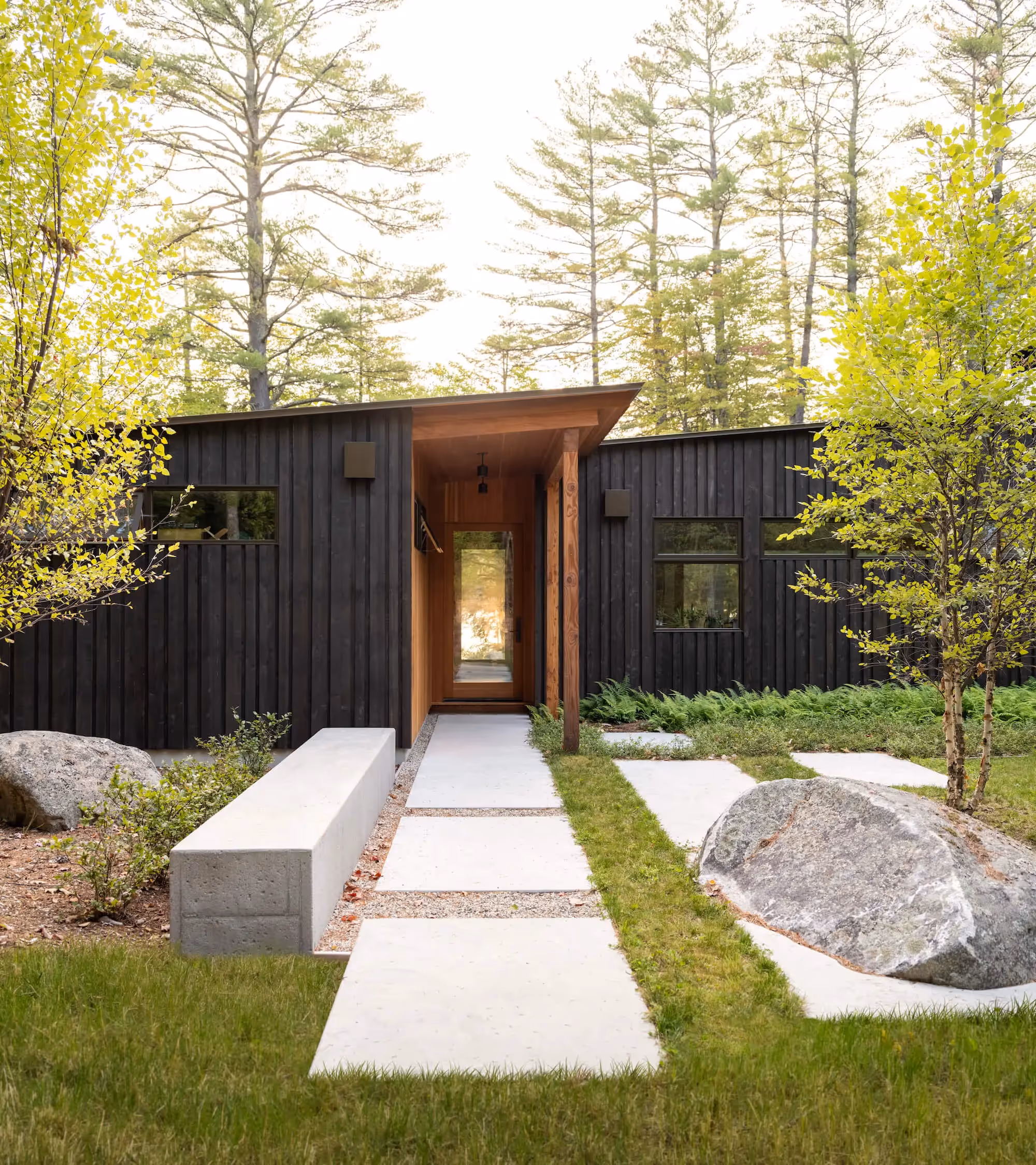Modern black cabin with wooden entrance nestled in forest with boulders