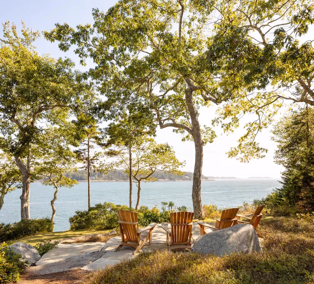 Adirondack chairs overlooking serene ocean view through lush trees