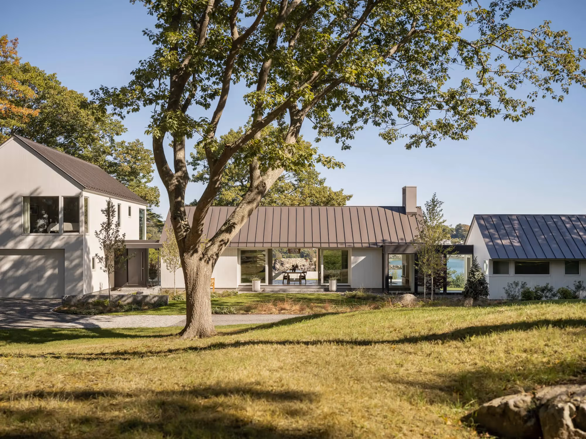 Modern house with metal roofs nestled under large tree on grassy property