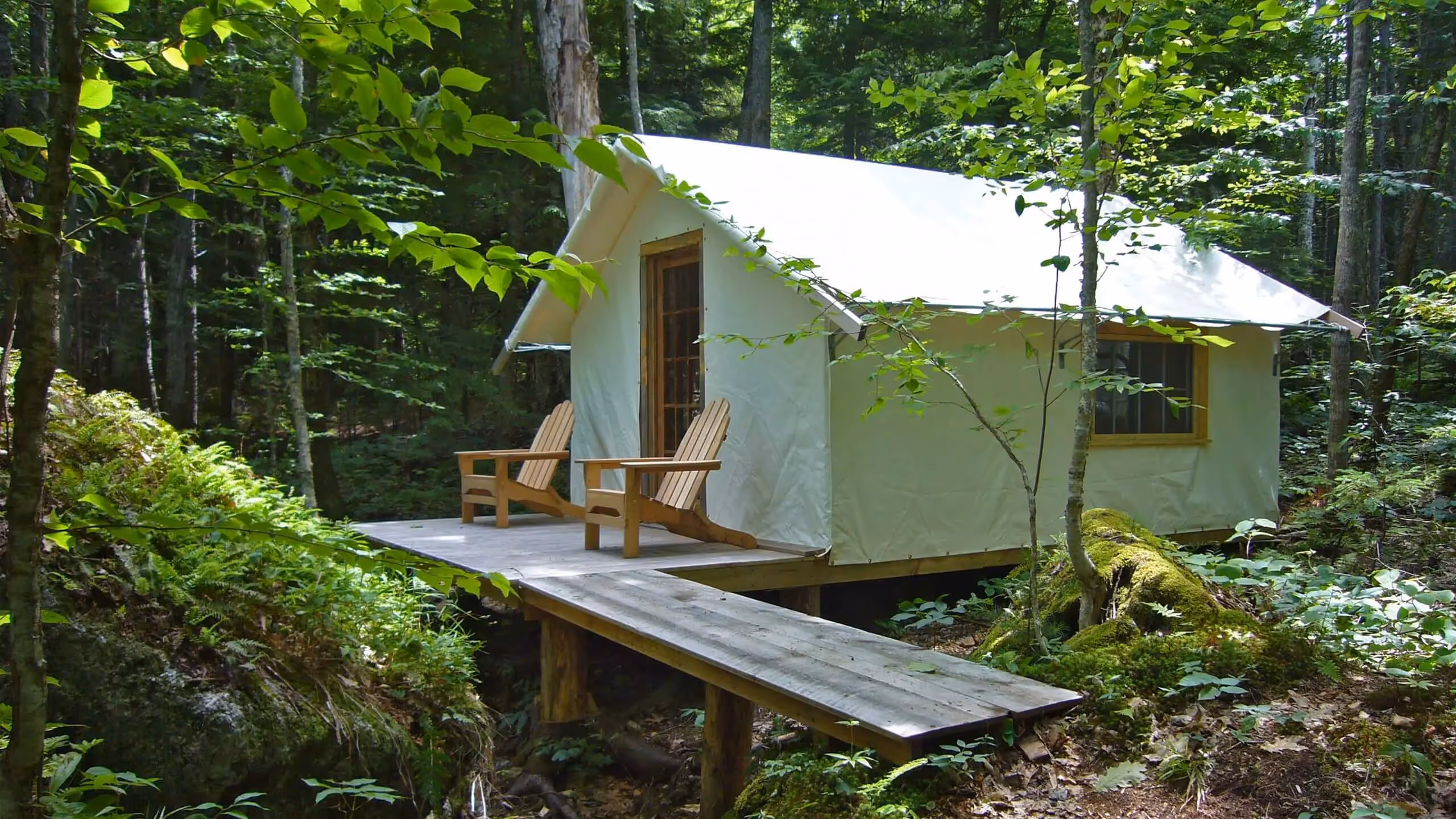 White tent cabin with wooden deck in lush green forest