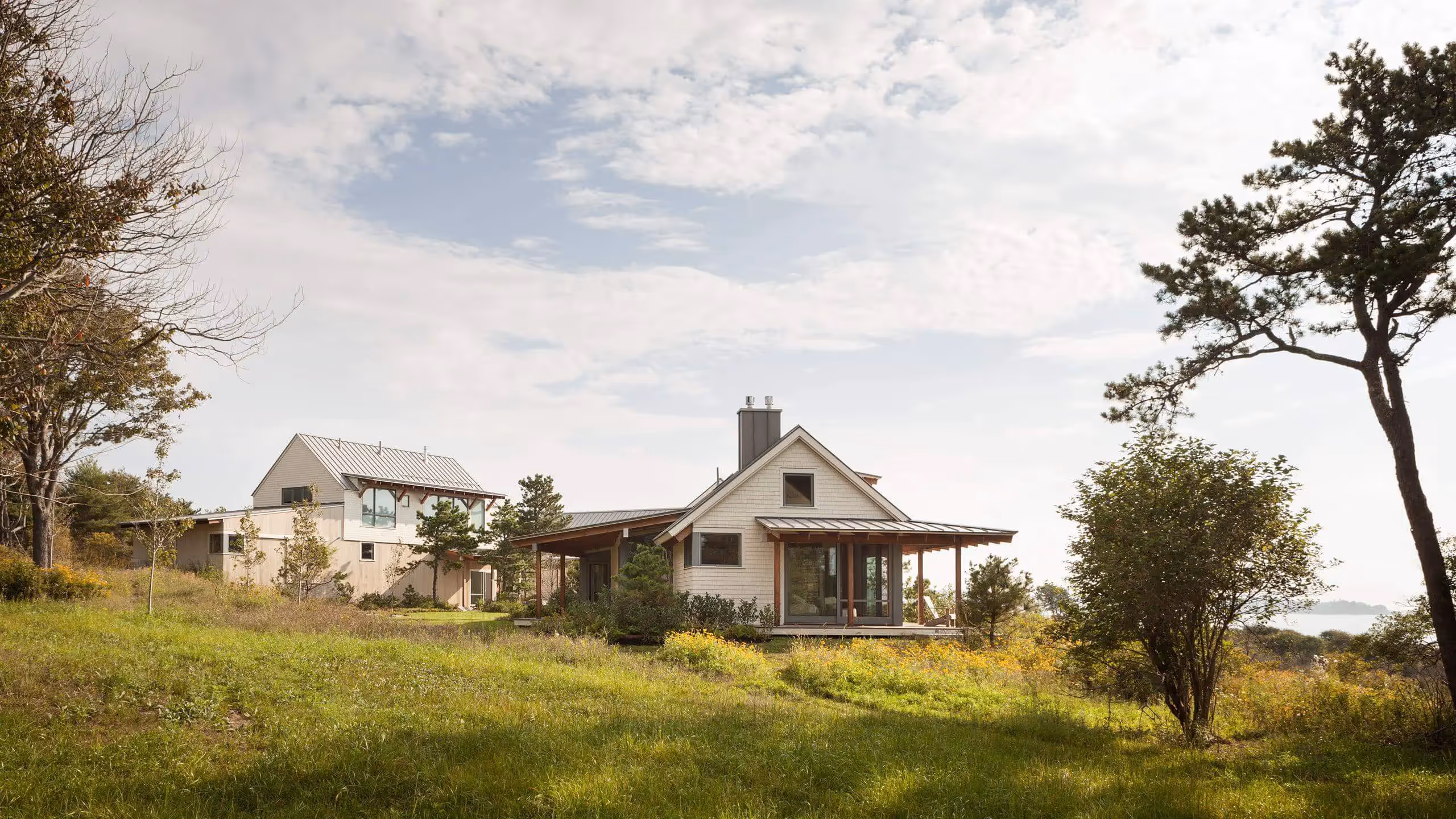 Modern farmhouse with white siding and metal roof in grassy meadow landscape