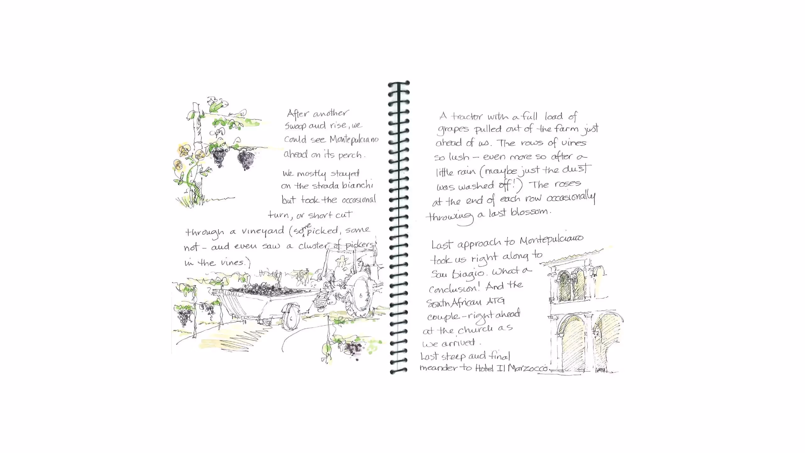 Handwritten journal page with sketches of vineyard, tractor, and grape harvest