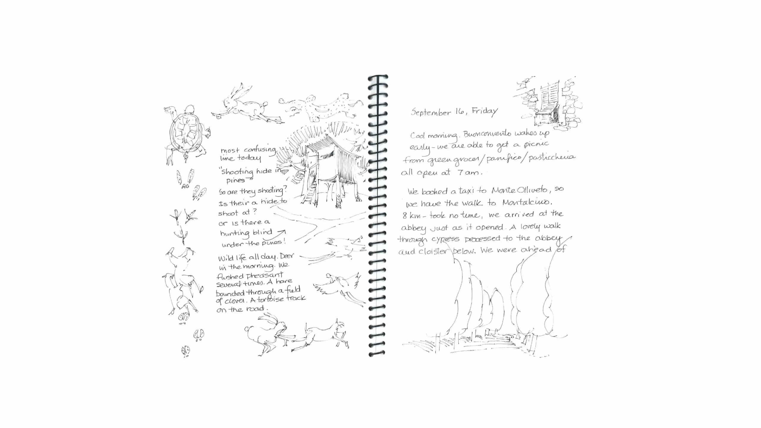 Hand-drawn travel journal with sketches of wildlife, landscape, and diary entry