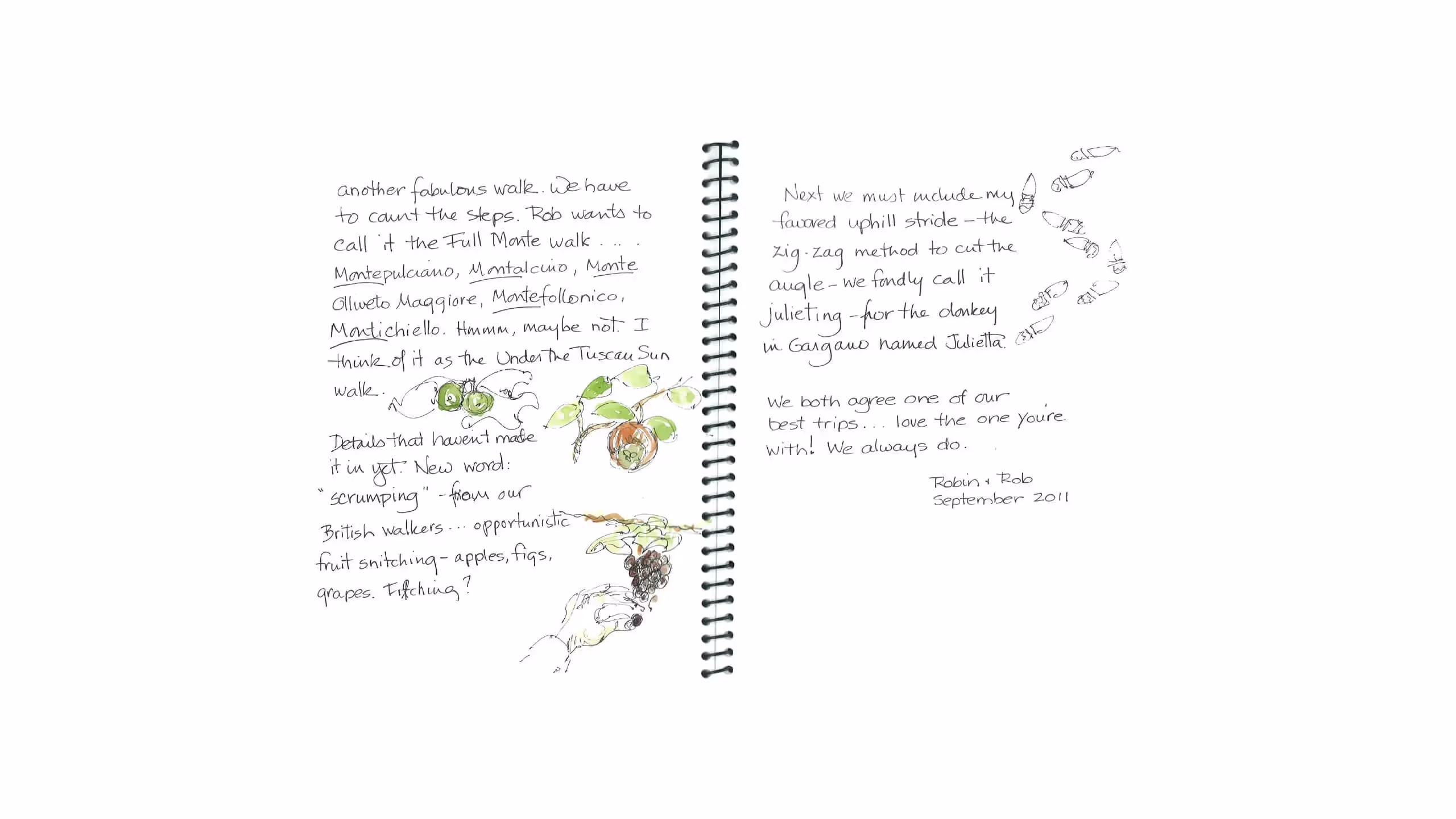 Handwritten journal page with sketches of grapes and notes about a walk