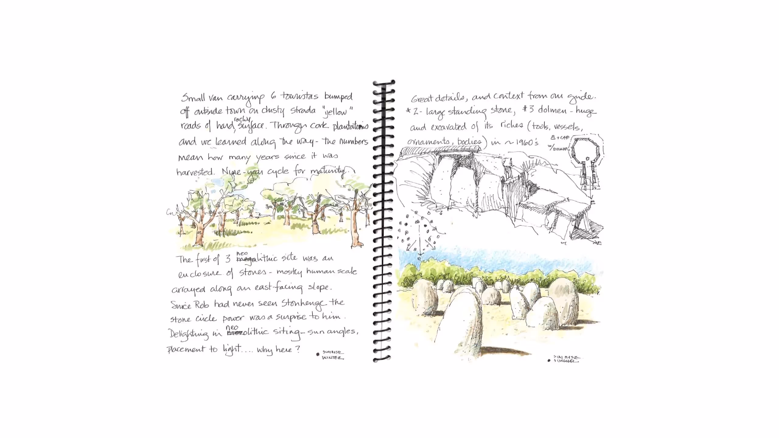 Archaeological field notes with sketches of stone circles and landscape