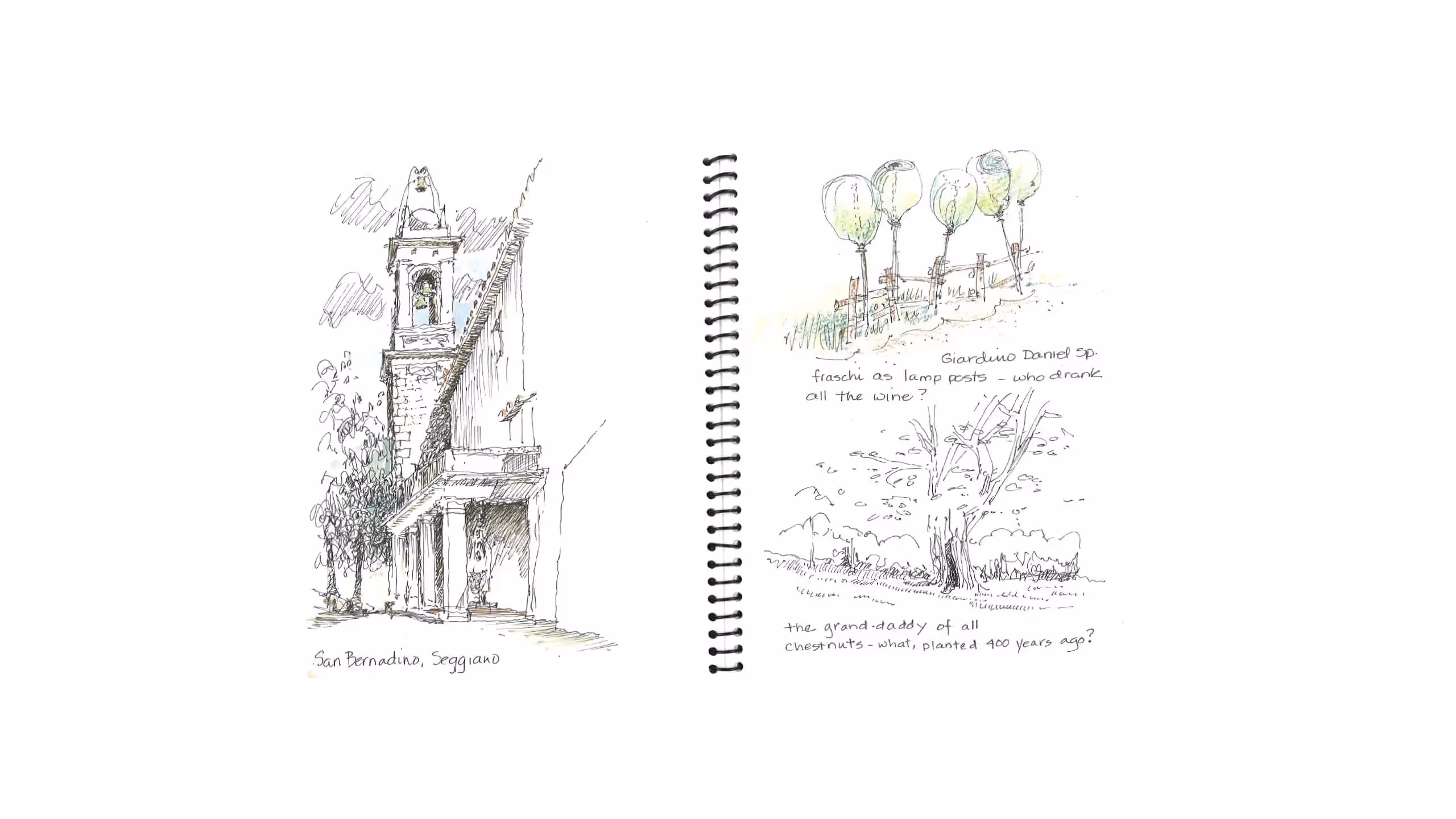 Sketch of an old building and trees from a sketchbook