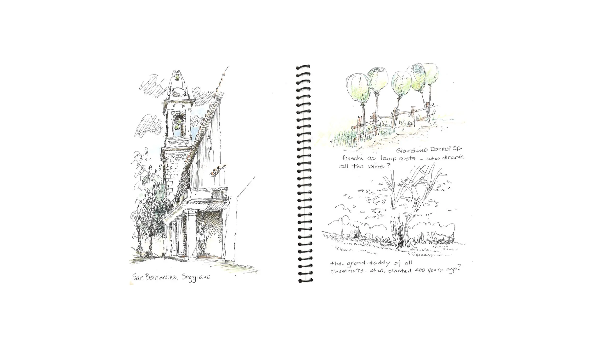 Sketch of an old building and trees from a sketchbook