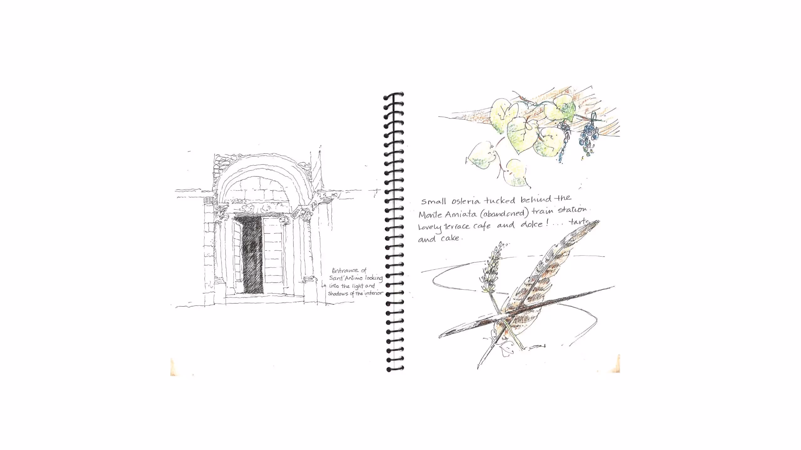 Sketchbook page with architectural drawing of doorway and nature illustrations