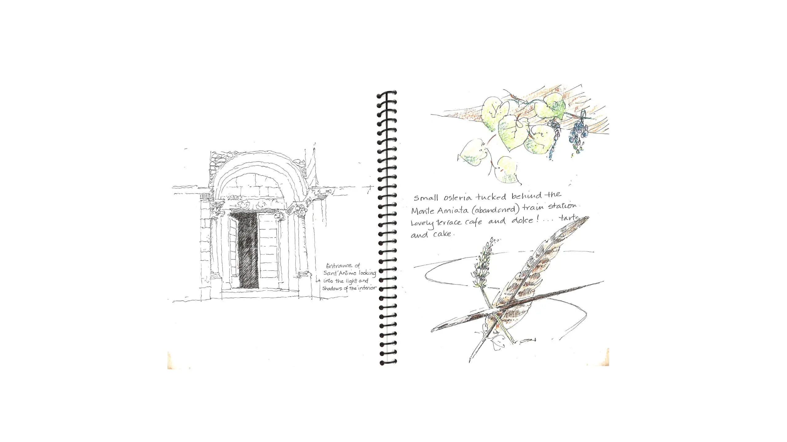 Sketchbook page with architectural drawing of doorway and nature illustrations
