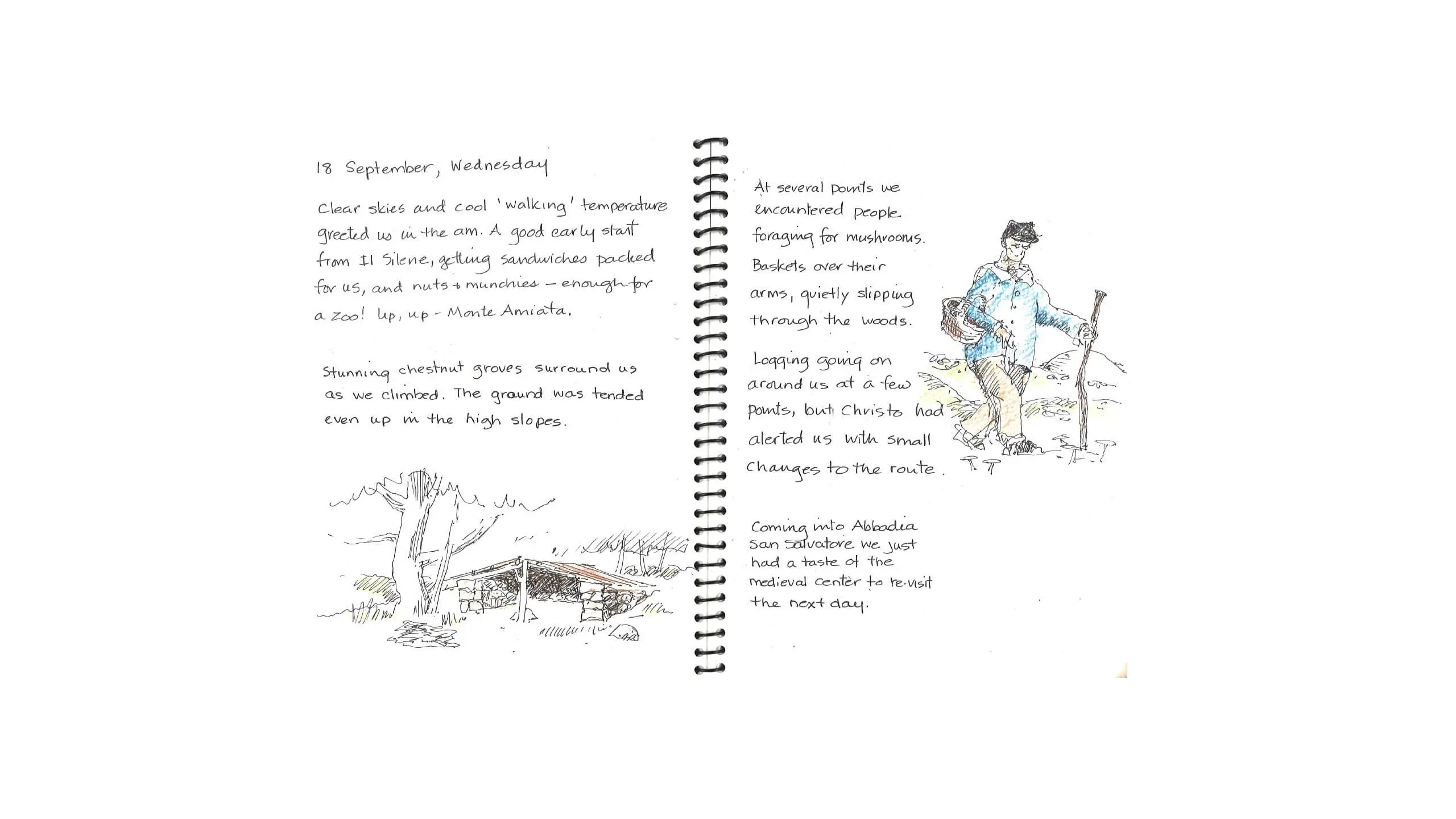 Handwritten journal page with sketches of a woodland hiking trip
