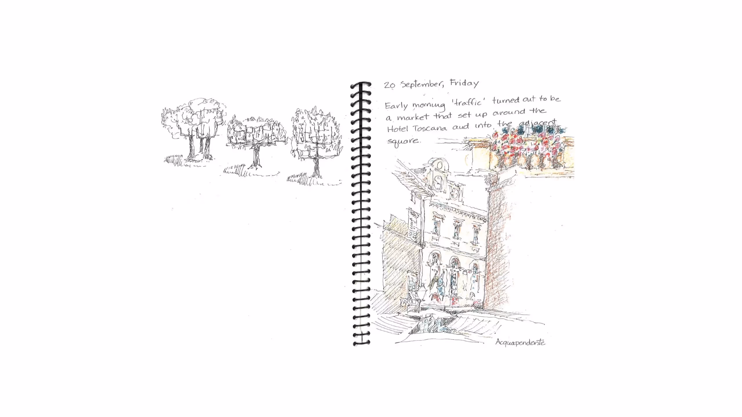 Sketch of early morning market scene near Hotel Toscana with trees