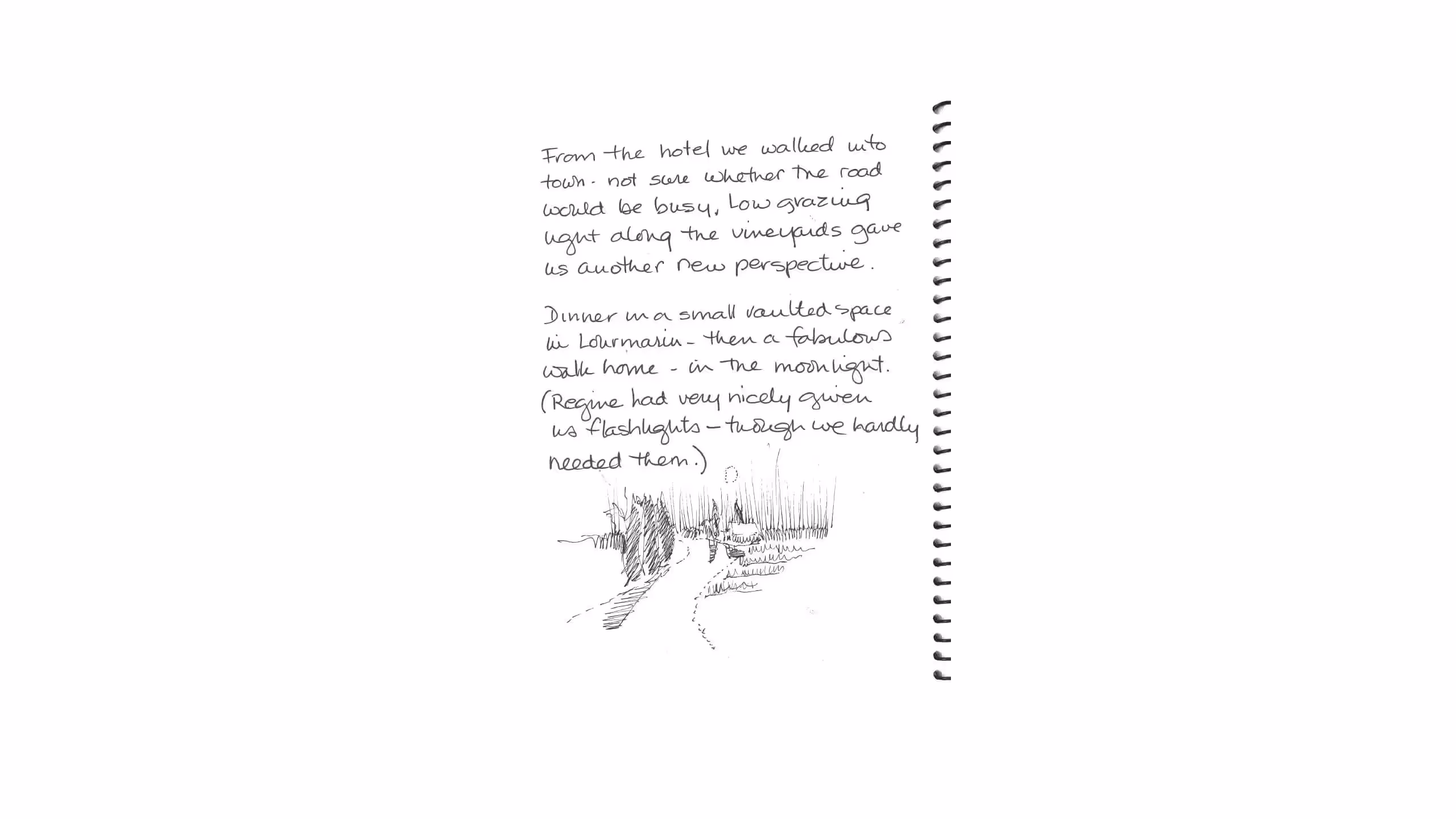 Handwritten journal page with sketch of landscape and travel notes