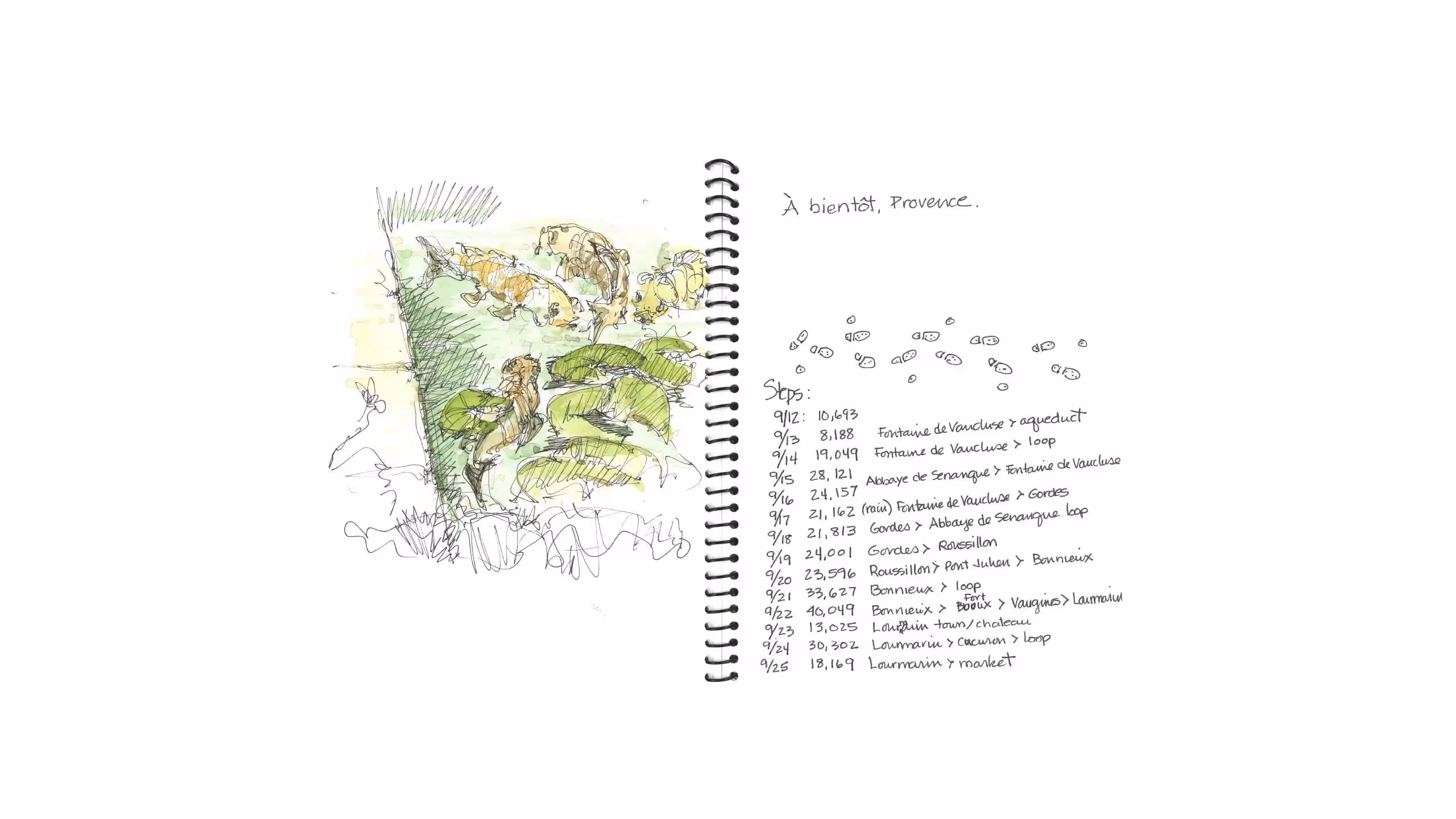 Travel journal page with watercolor sketch of Provence landscape and itinerary