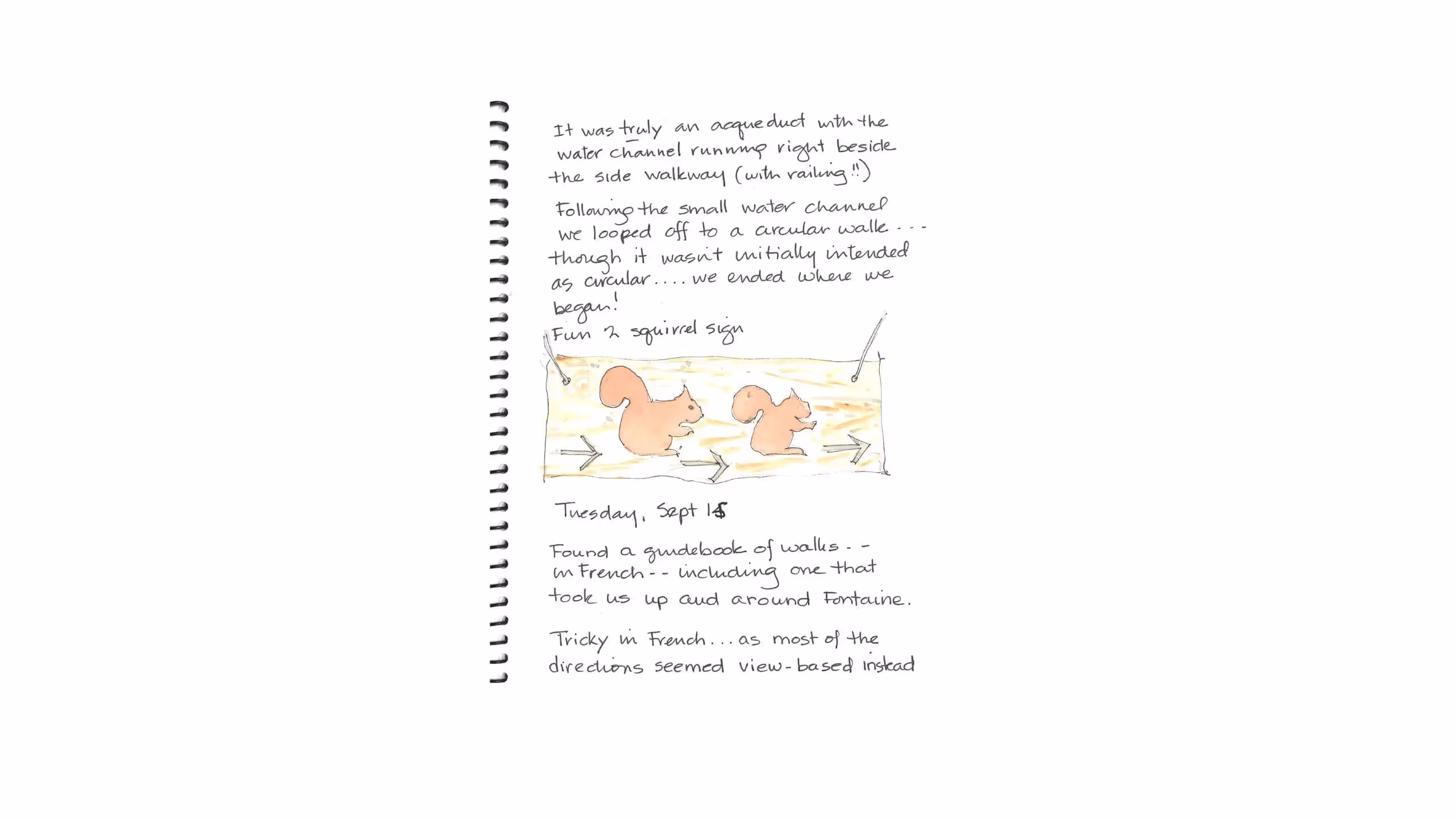 Two squirrels following arrows on a sketched watercolor journal page