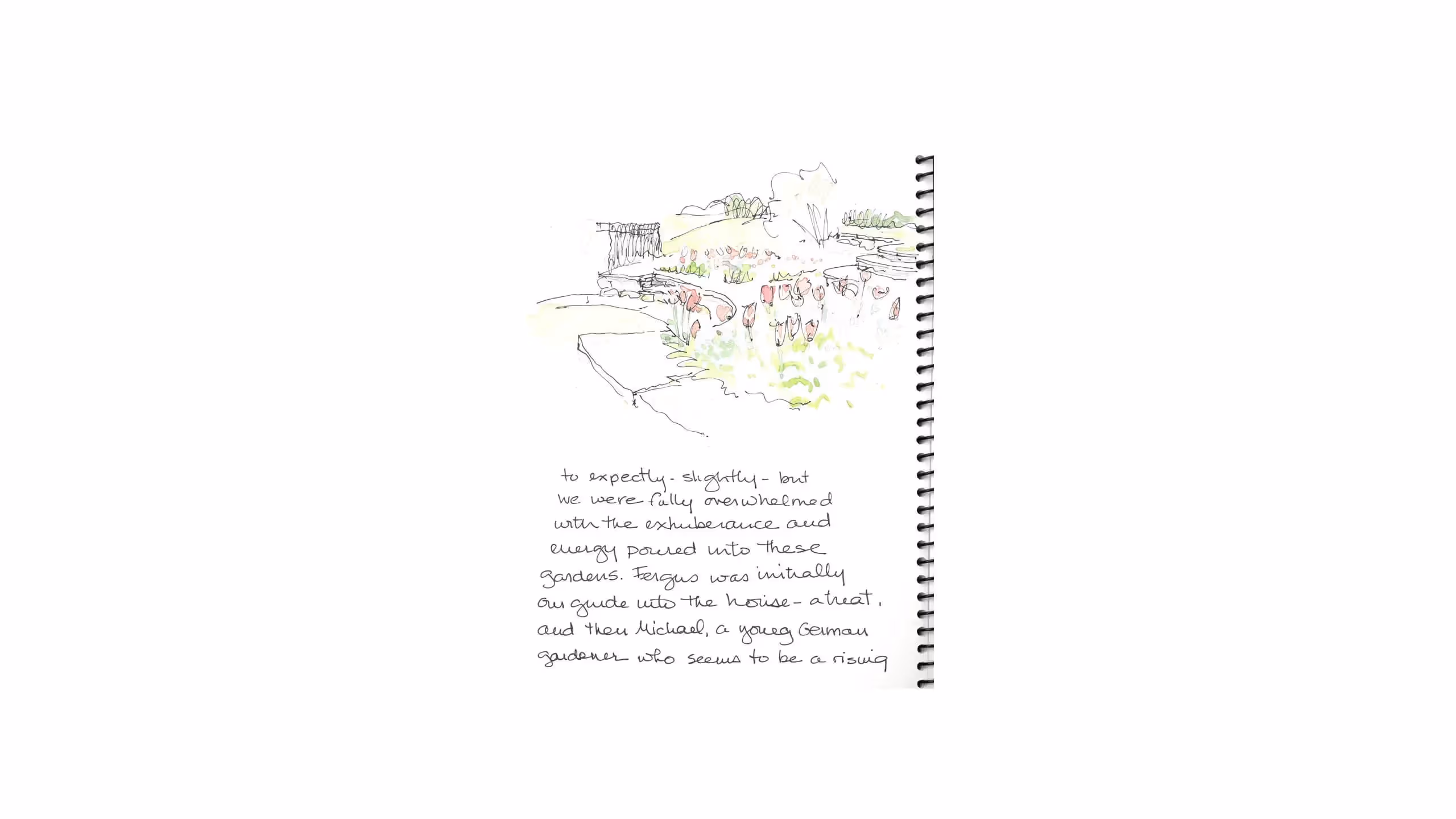 Sketched garden landscape with handwritten notes on notebook page