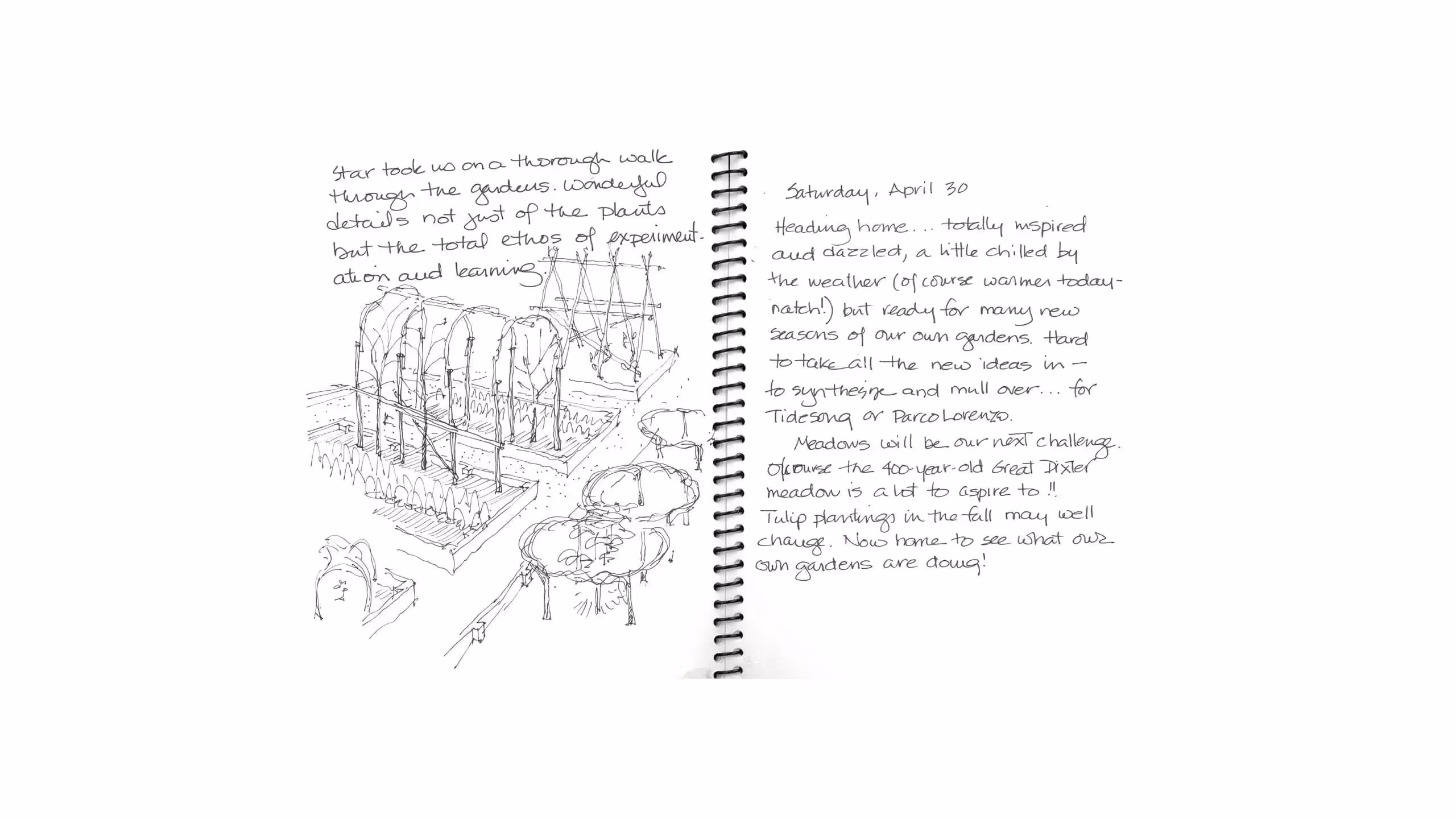 Hand-drawn garden sketch with notes about experimental gardening ideas