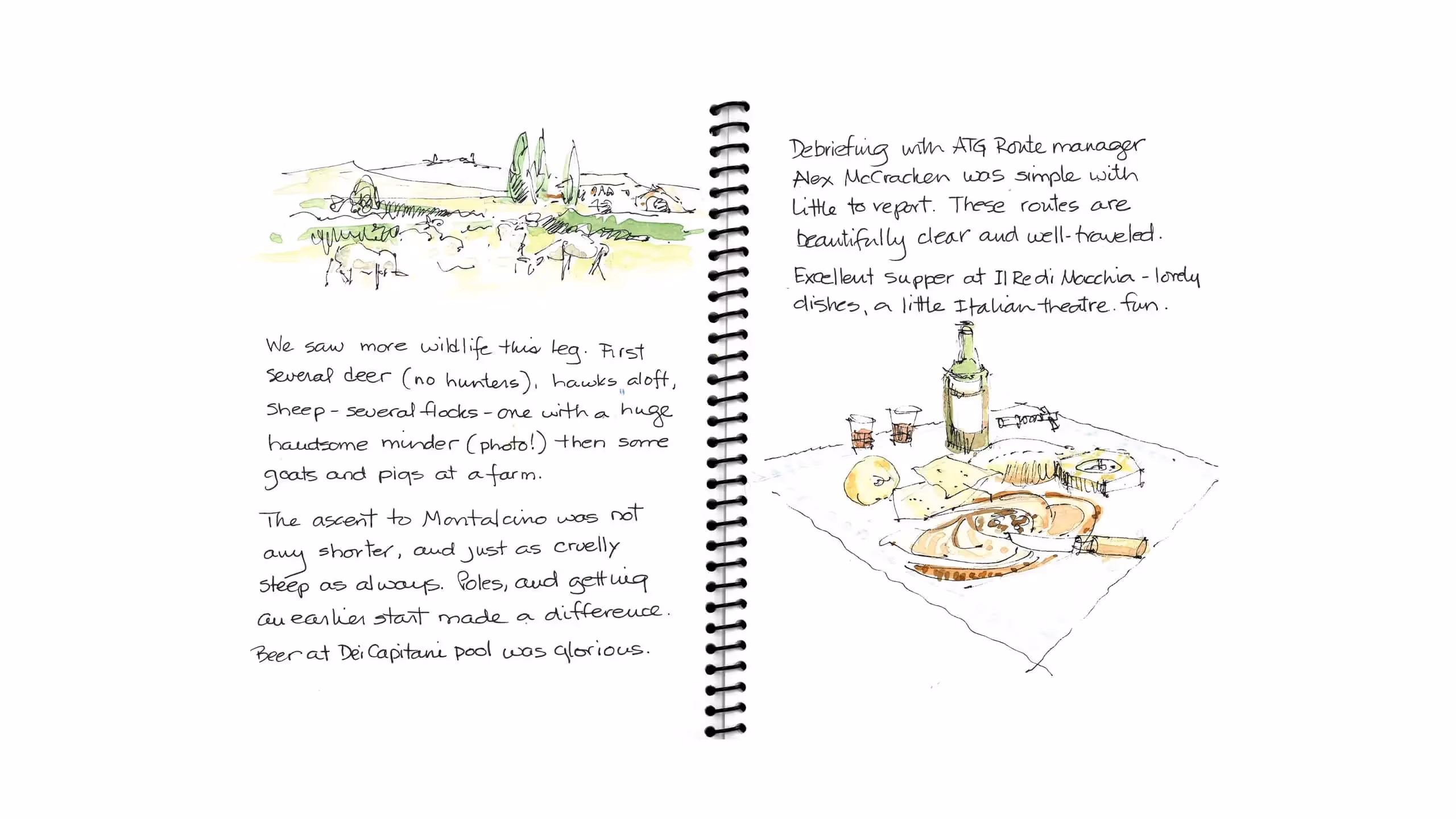 Travel journal with sketches of landscape, wildlife, and Italian dinner spread