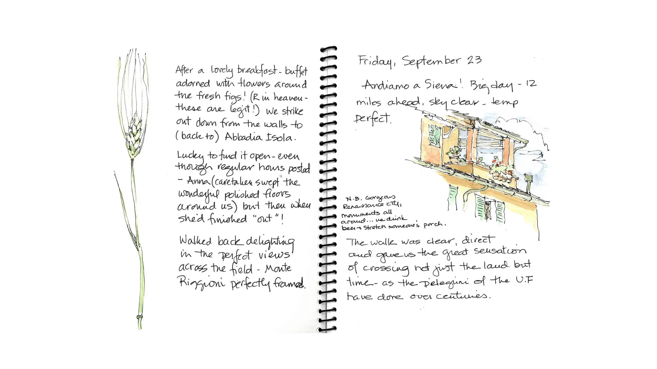 Travel journal page with handwritten notes, sketch, and botanical illustration