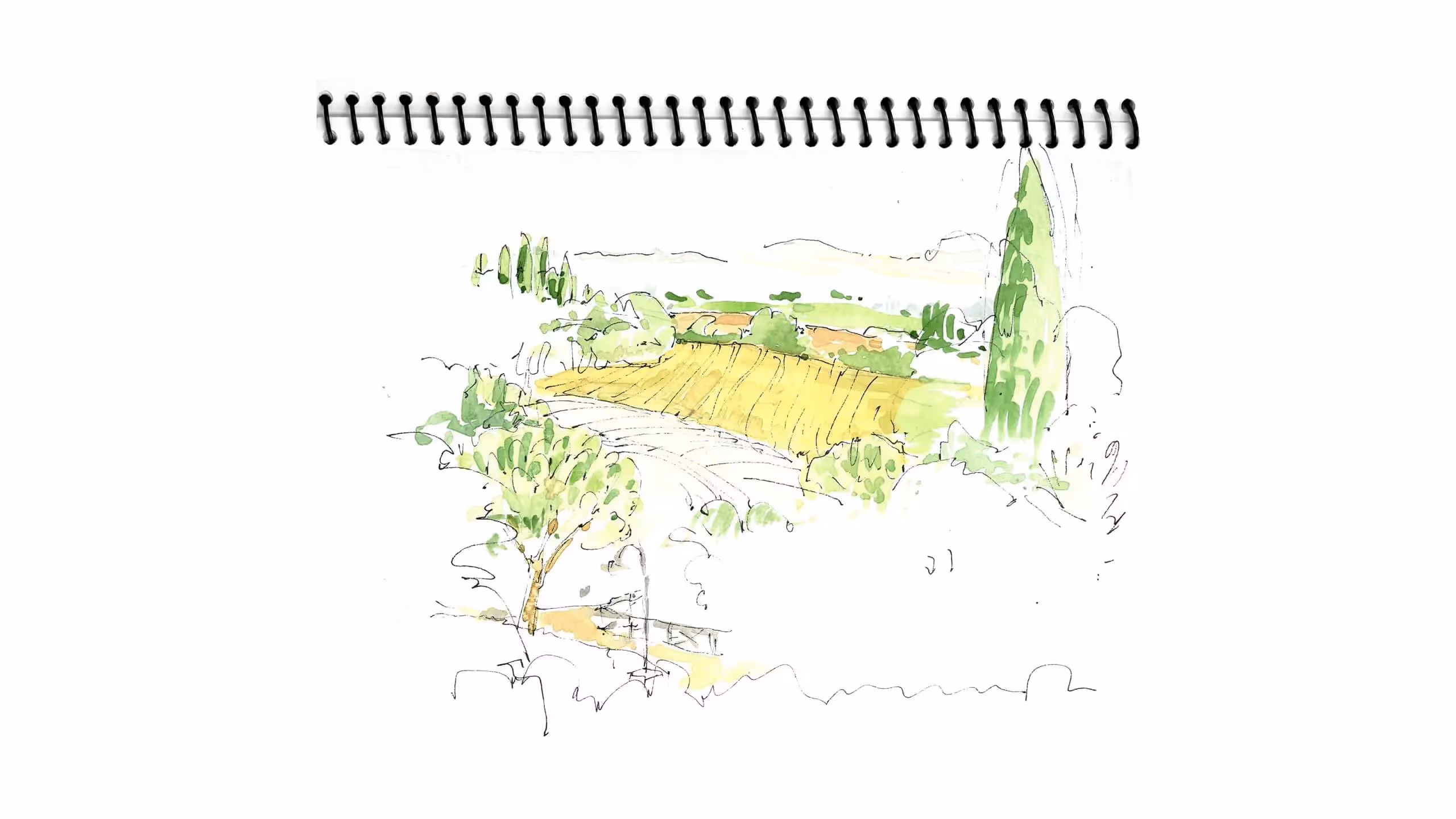 Watercolor sketch of countryside with yellow fields and green trees