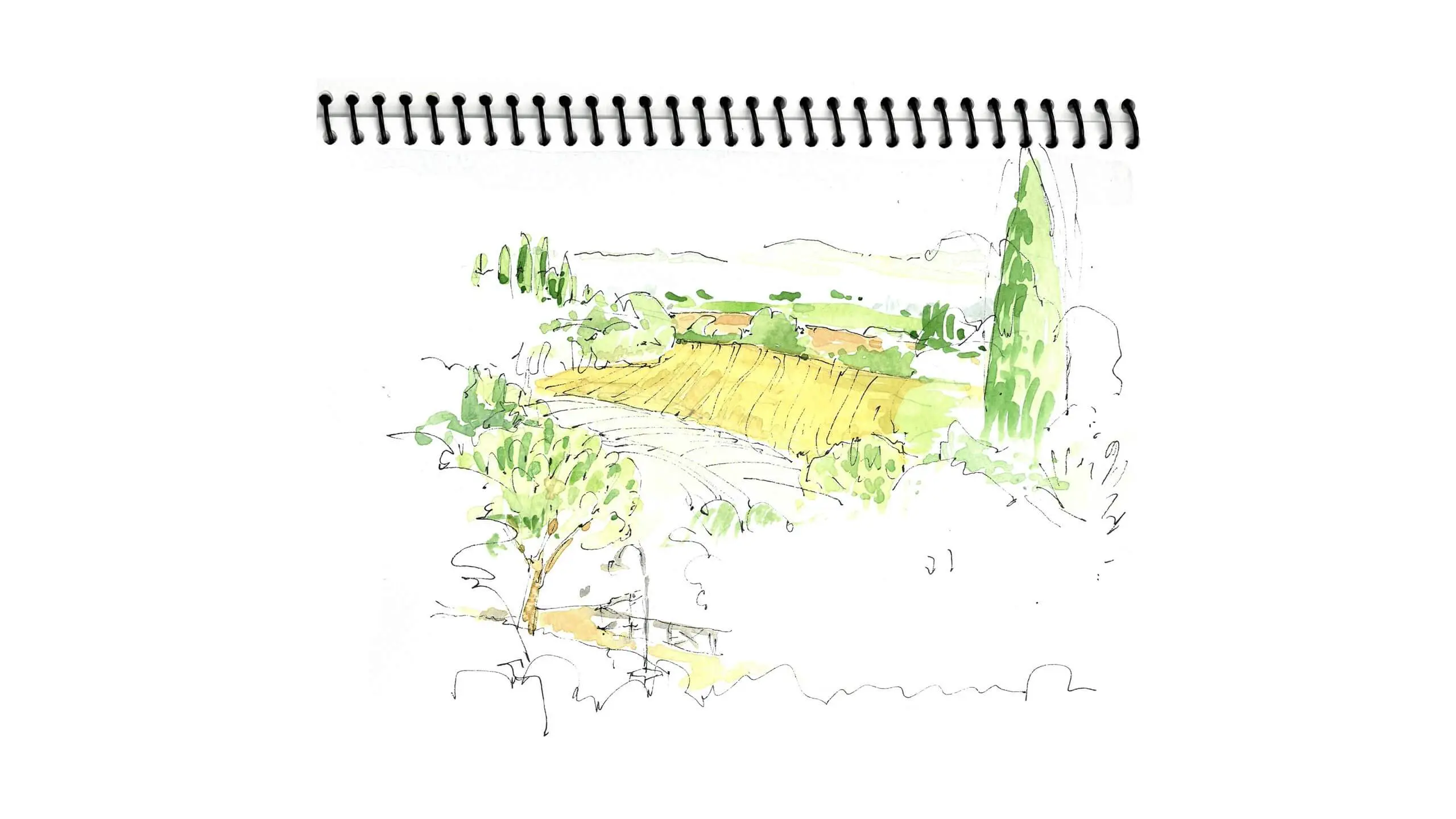 Watercolor sketch of countryside with yellow fields and green trees