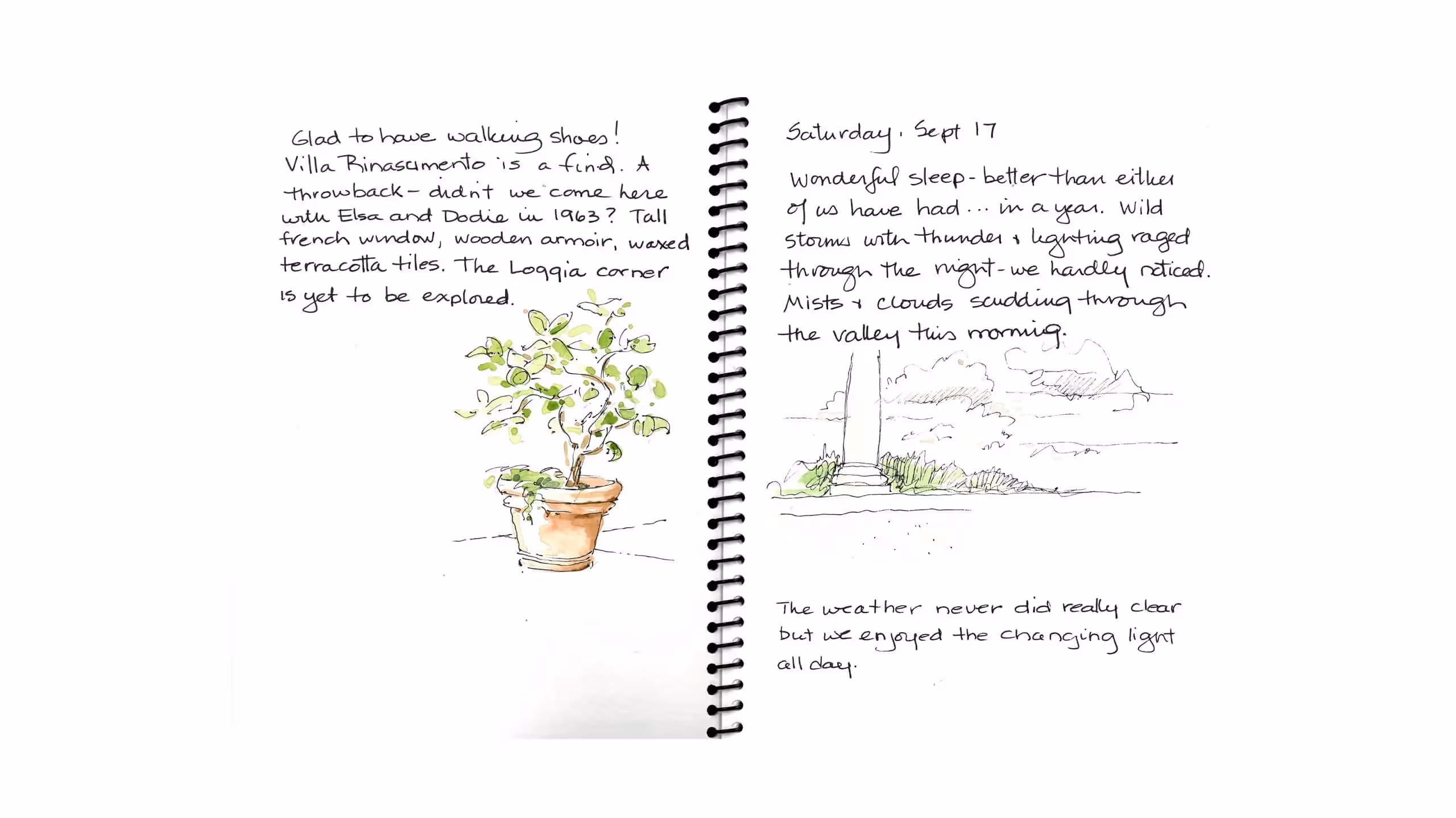 Travel journal with sketches of a potted plant and misty landscape