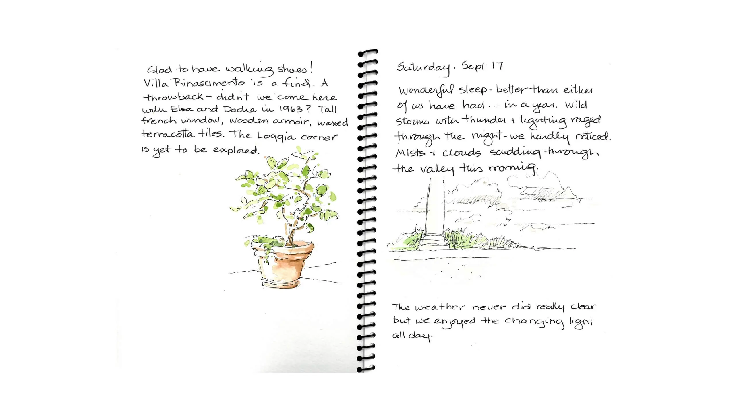 Travel journal with sketches of a potted plant and misty landscape