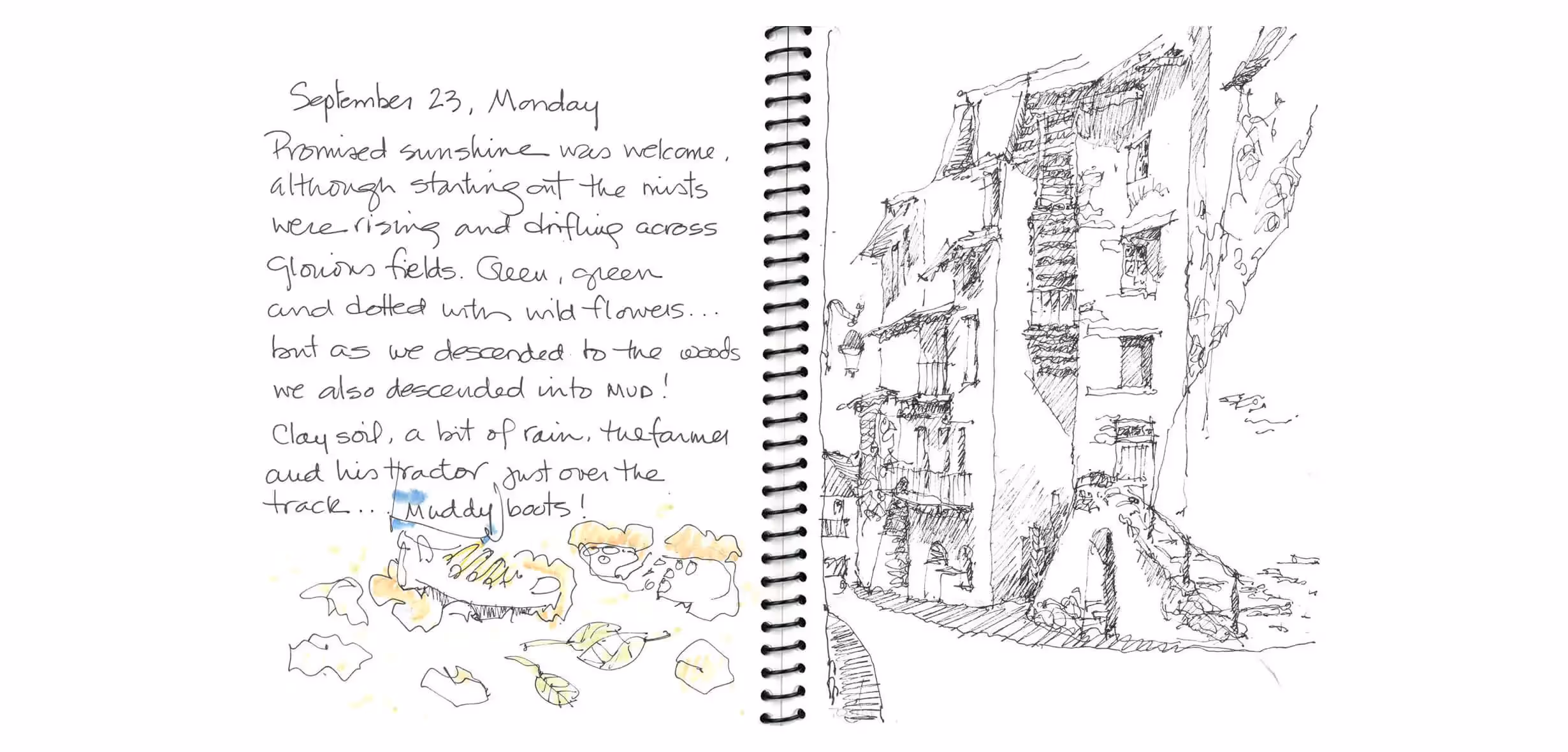 Hand-drawn journal page with sketch of urban buildings and nature notes