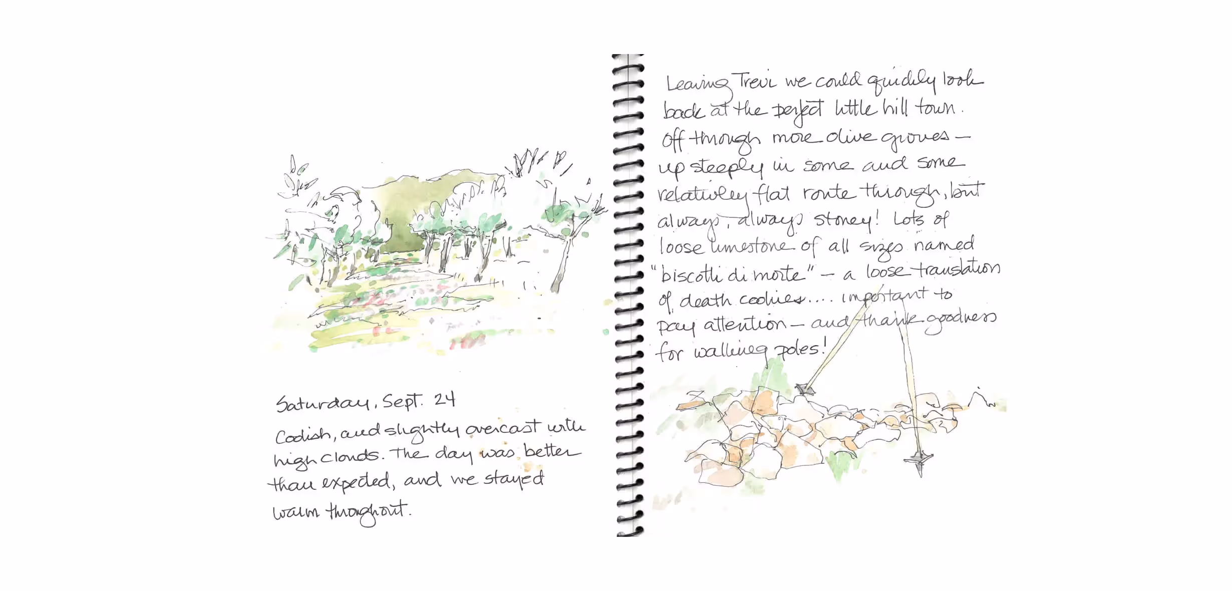 Watercolor sketch of trees and landscape with handwritten journal notes