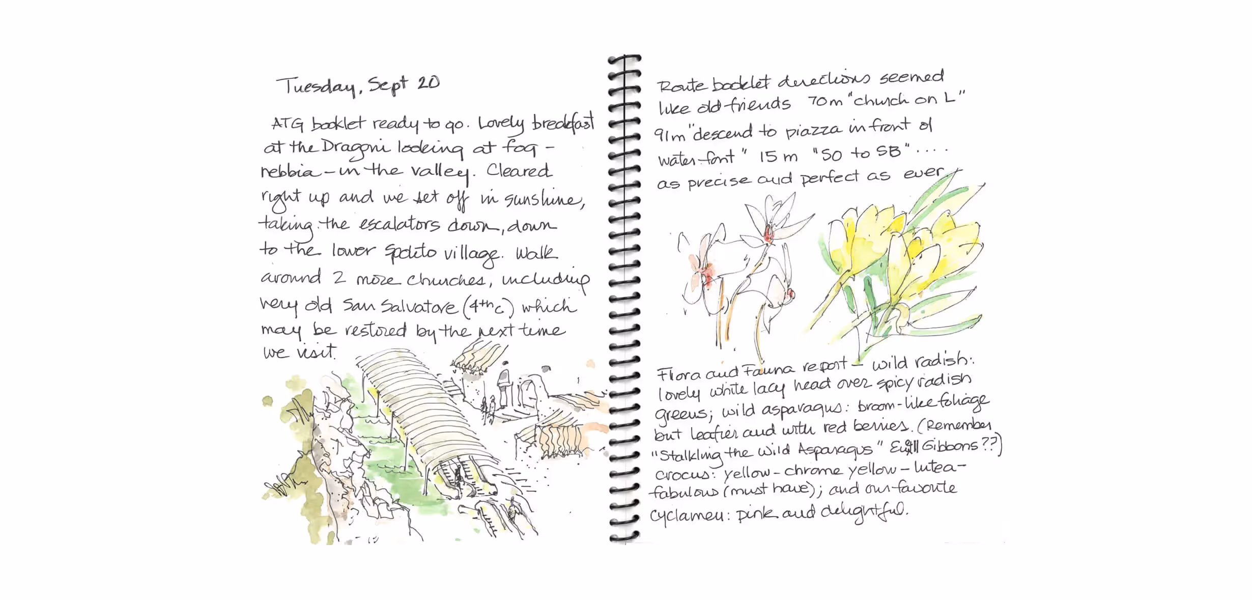 Hand-drawn journal page with sketches, notes about churches, flowers, and landscape