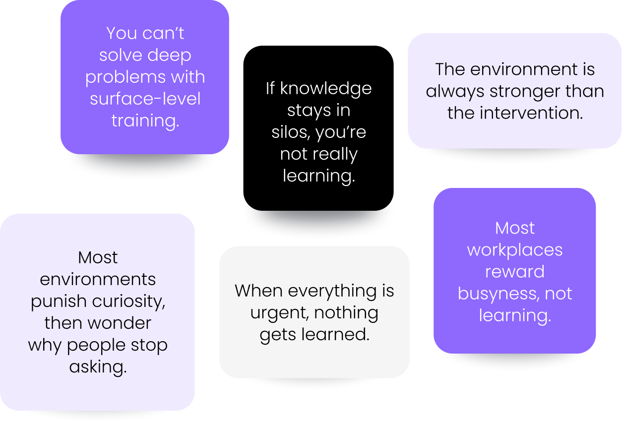 learning-architect-1