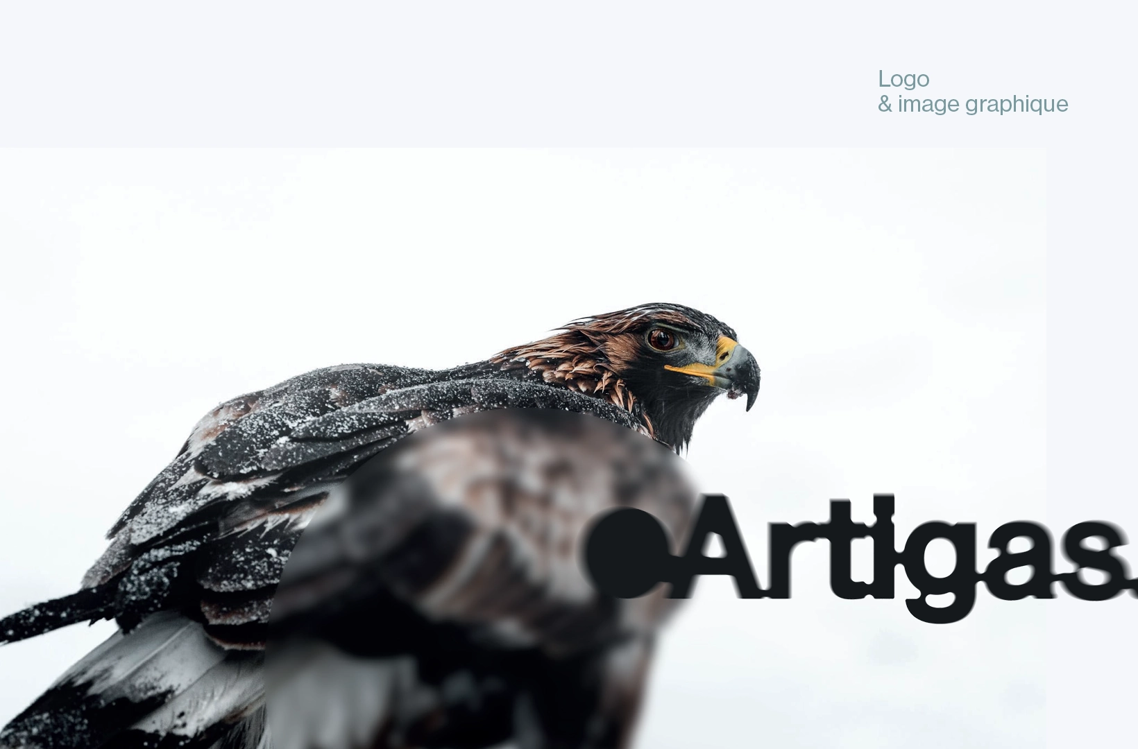 david-thomas-designer-graphique-artigas-photographe