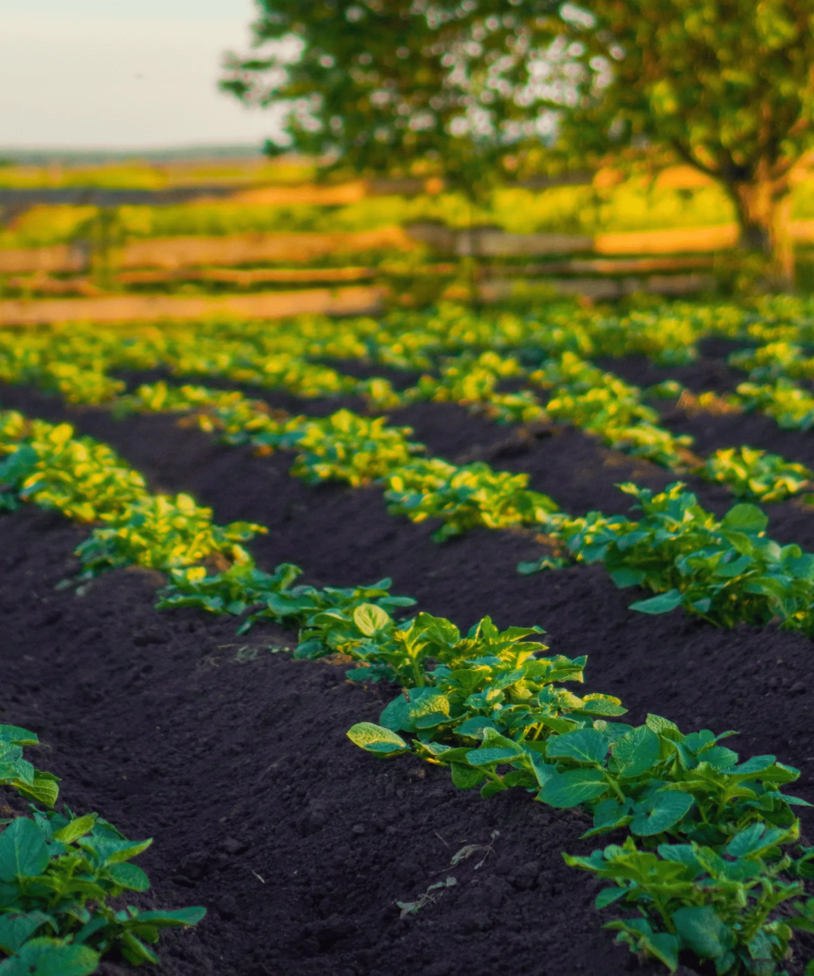Кейс Акварель